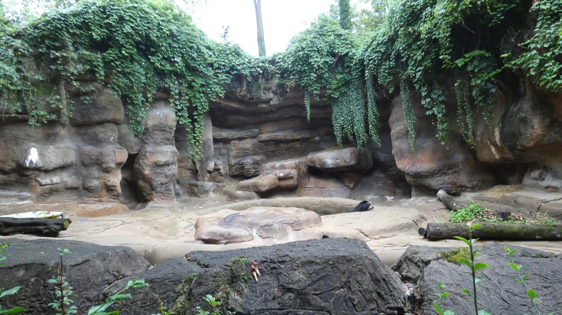 2nd Spectacled Bear Grotto, Lords of the Arctic - Aug. 2021
