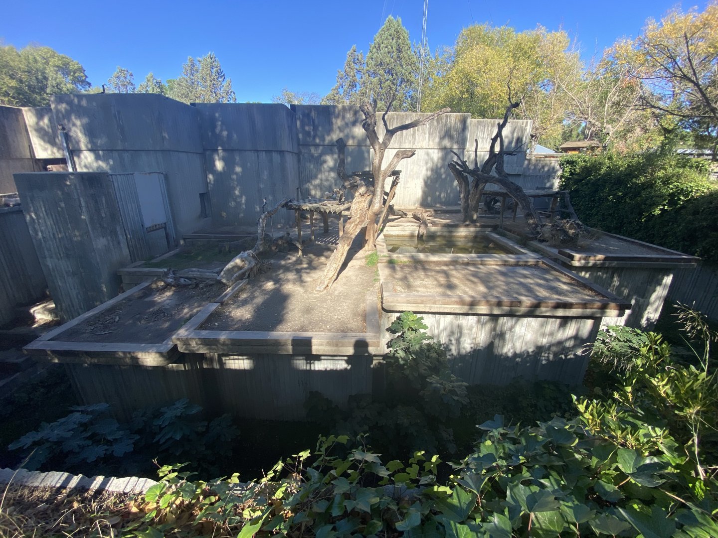 2nd sun bear enclosure