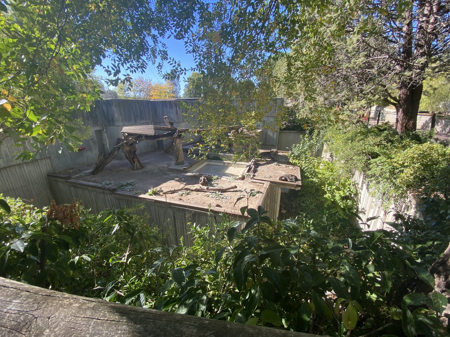 2nd view of 1st sun bear enclosure