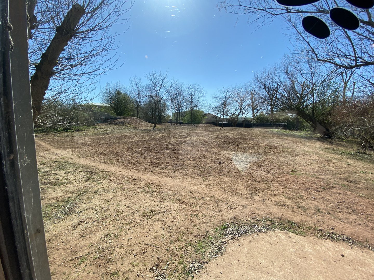 2nd view of African wild dog enclosure