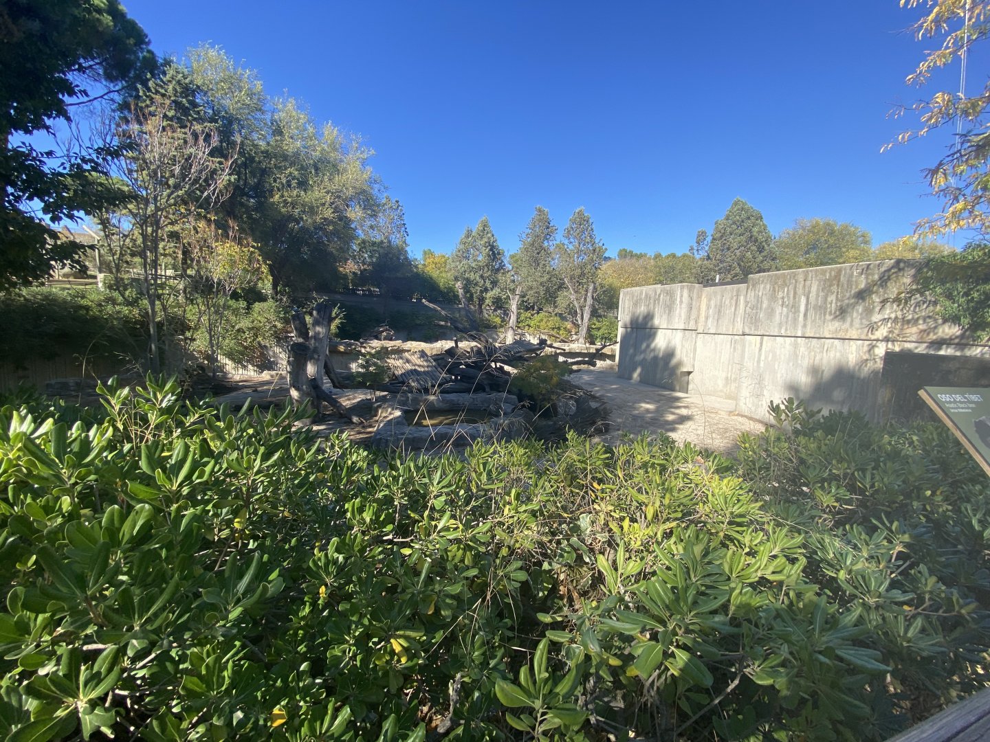 2nd view of Asiatic black bear enclosure