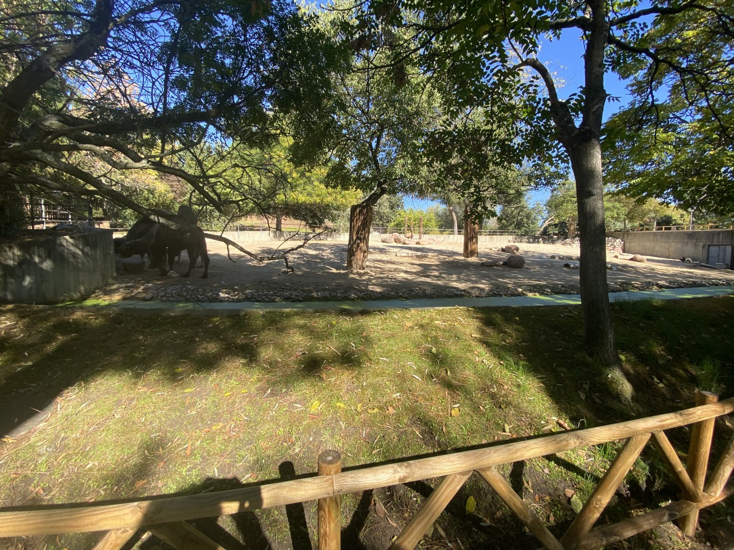 2nd view of Bactrian camel enclosure