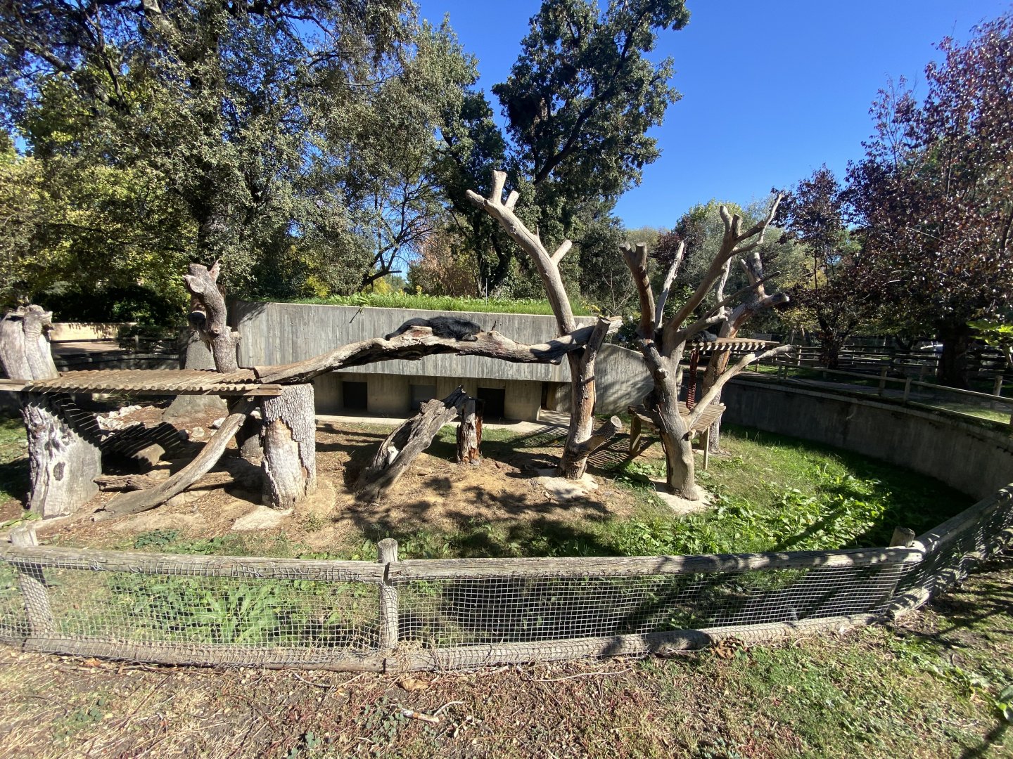2nd view of binturong enclosure