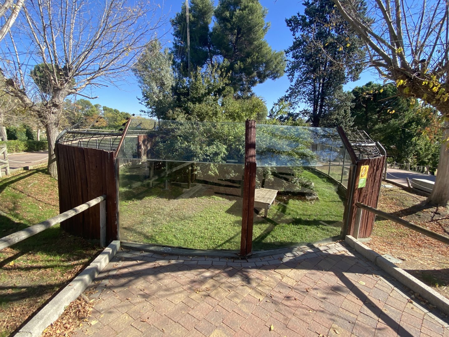 2nd view of black and white-ruffed lemur enclosure