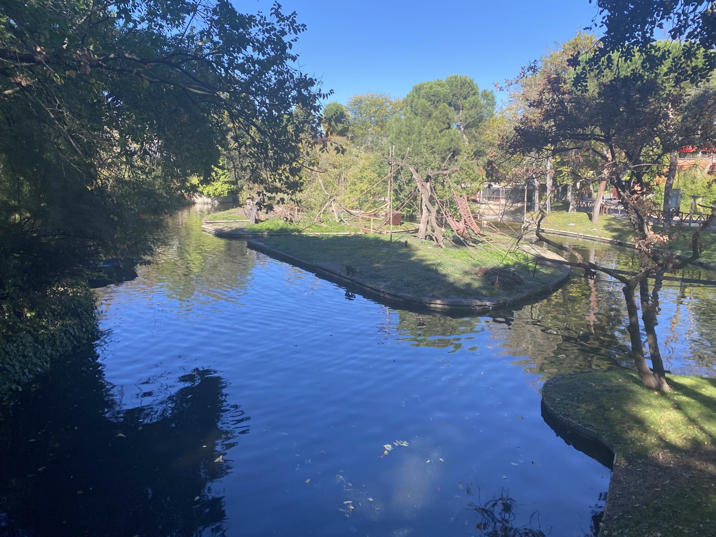 2nd view of black-capped capuchin enclosure