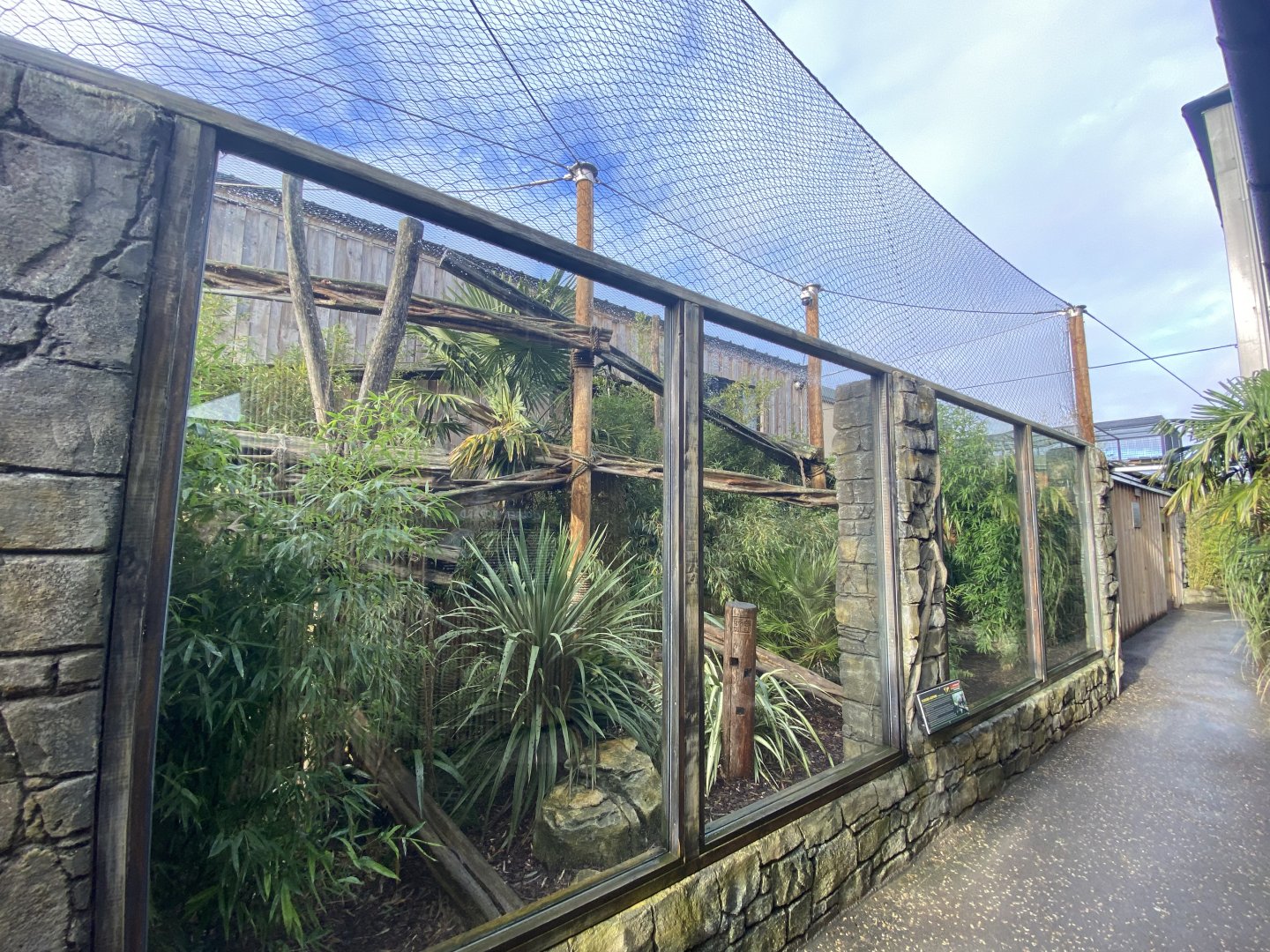 2nd view of clouded leopard enclosure