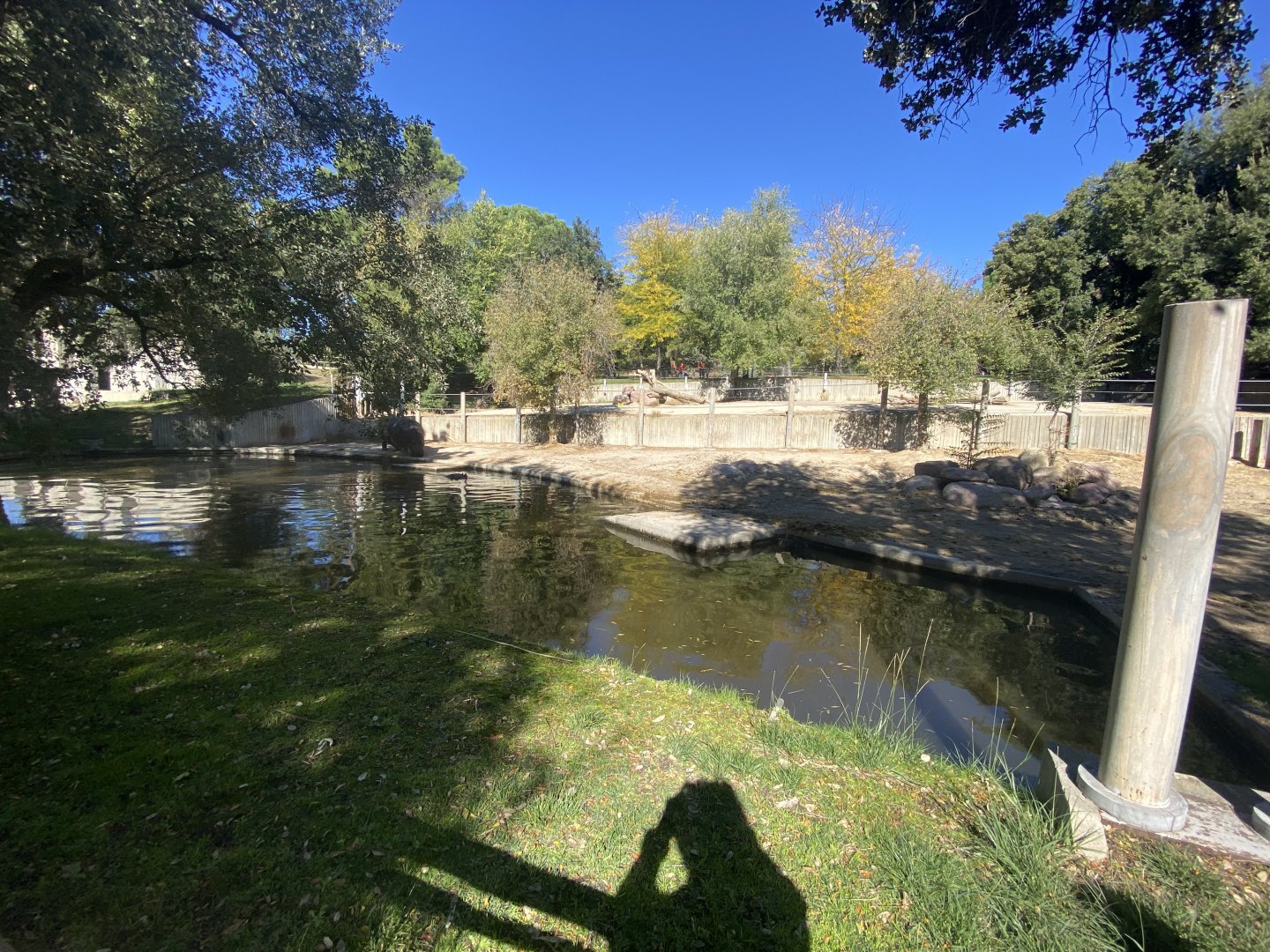 2nd view of common hippo enclosure