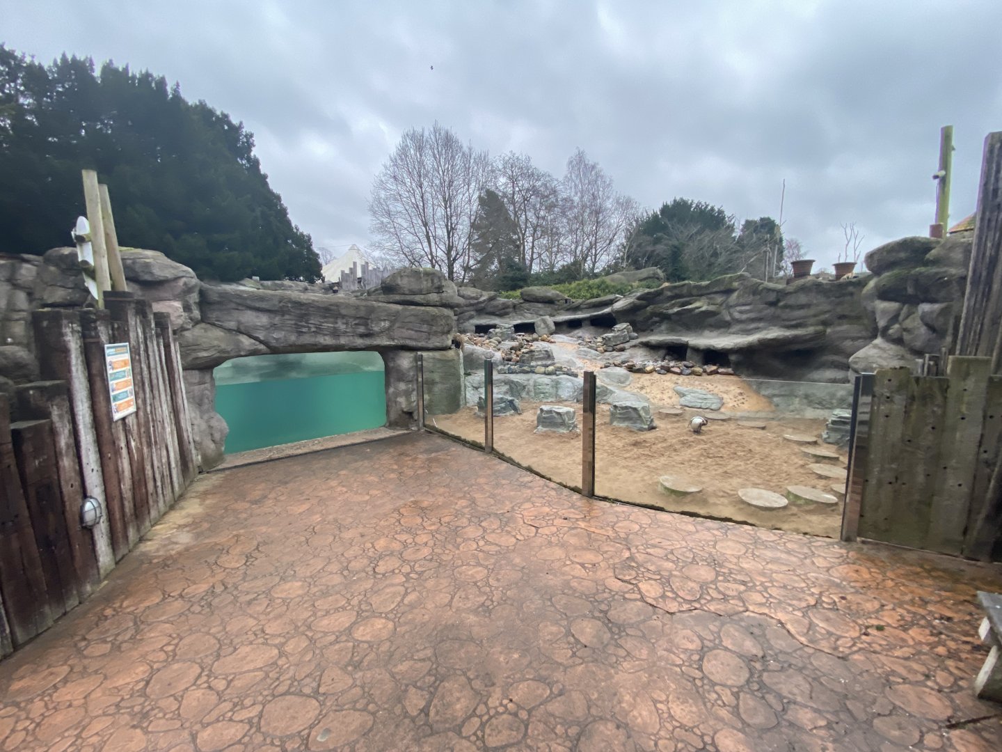 2nd view of Humboldt penguin enclosure