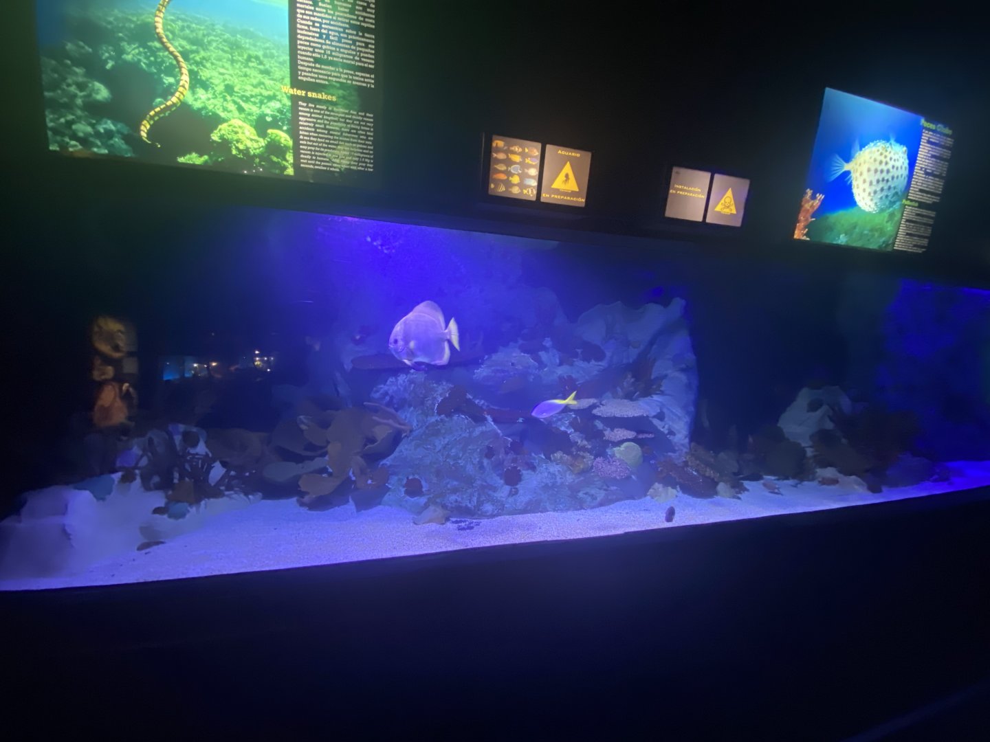 2nd view of large reef aquarium