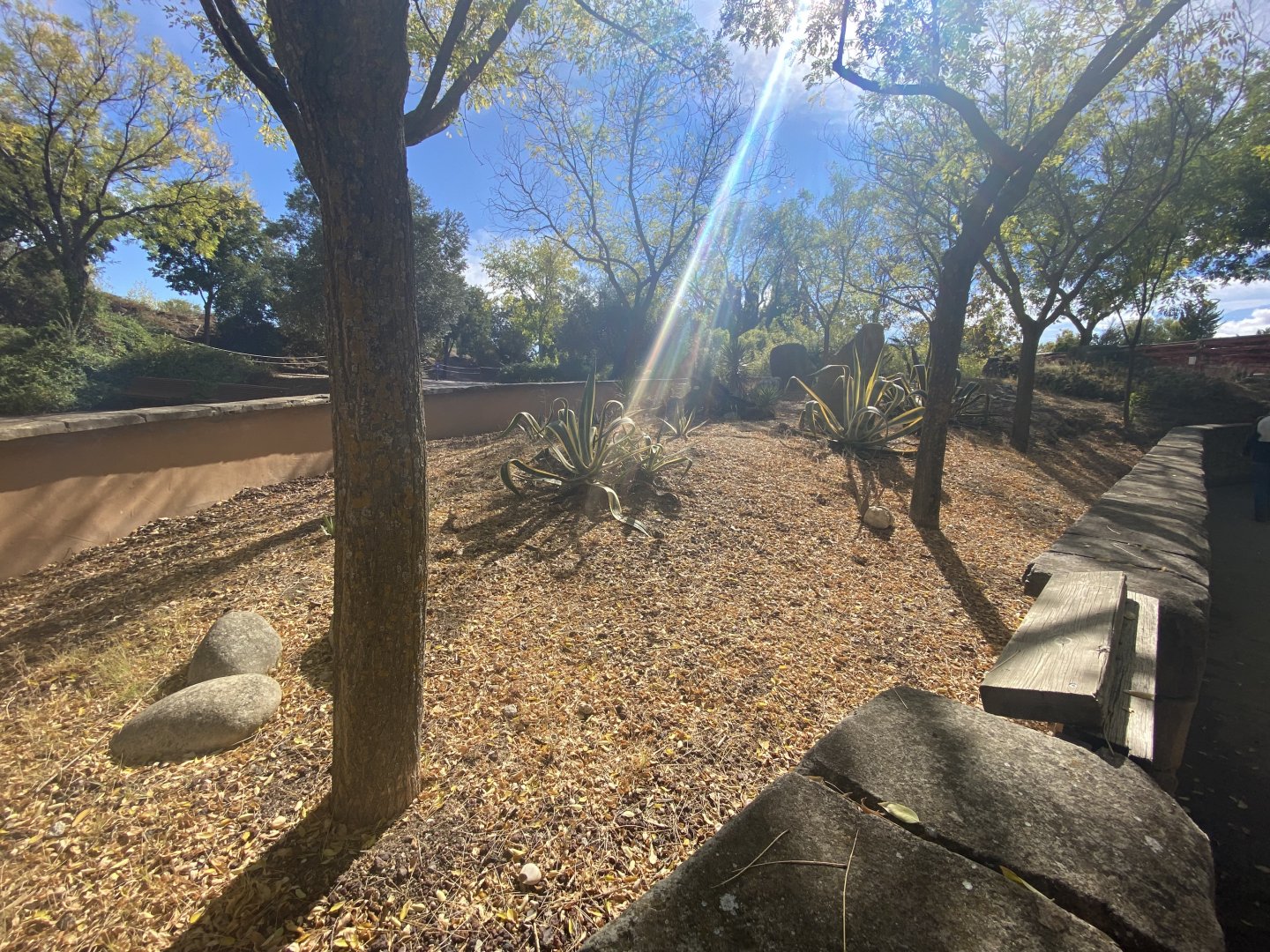 2nd view of meerkat enclosure