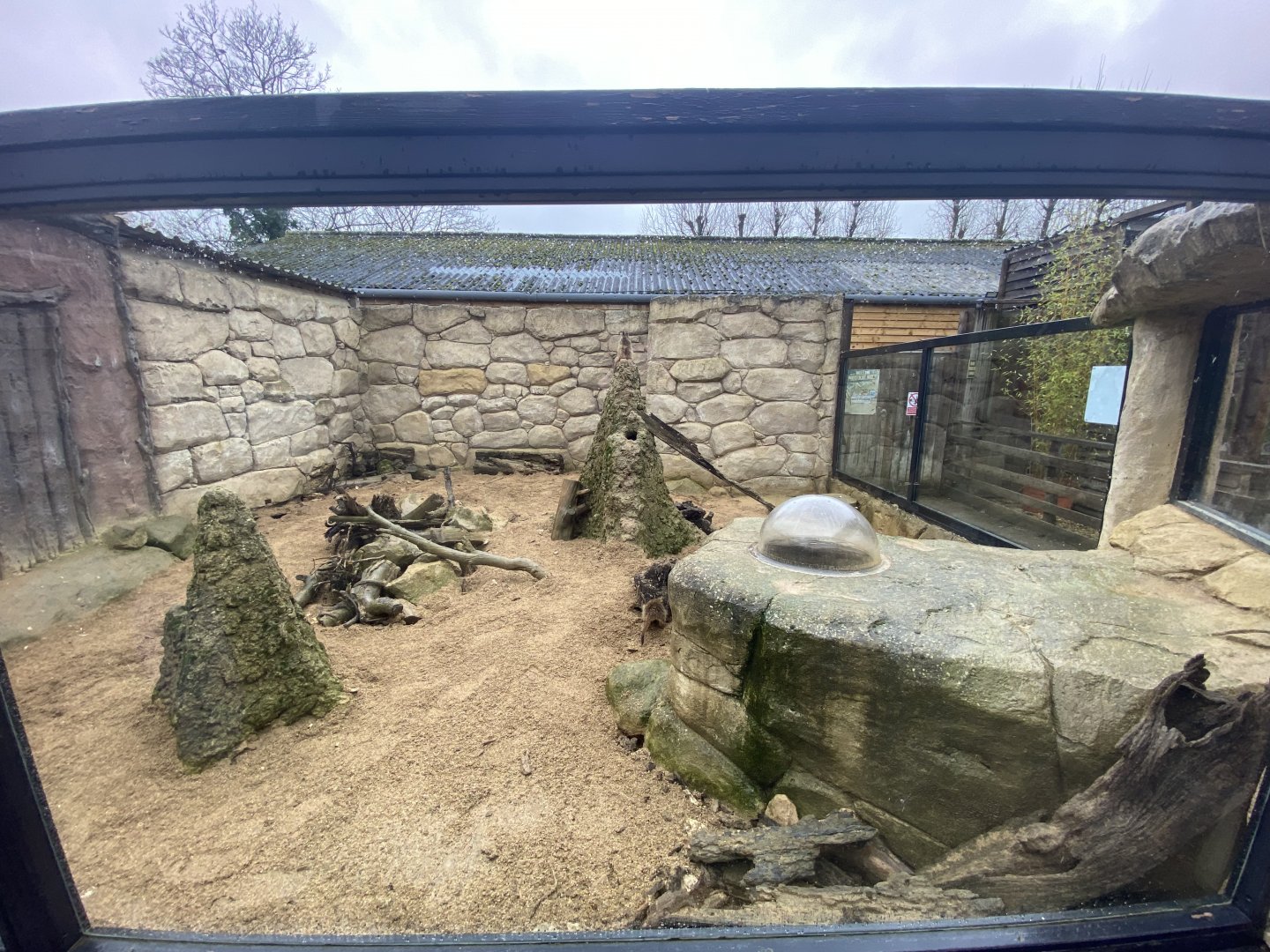 2nd view of meerkat enclosure
