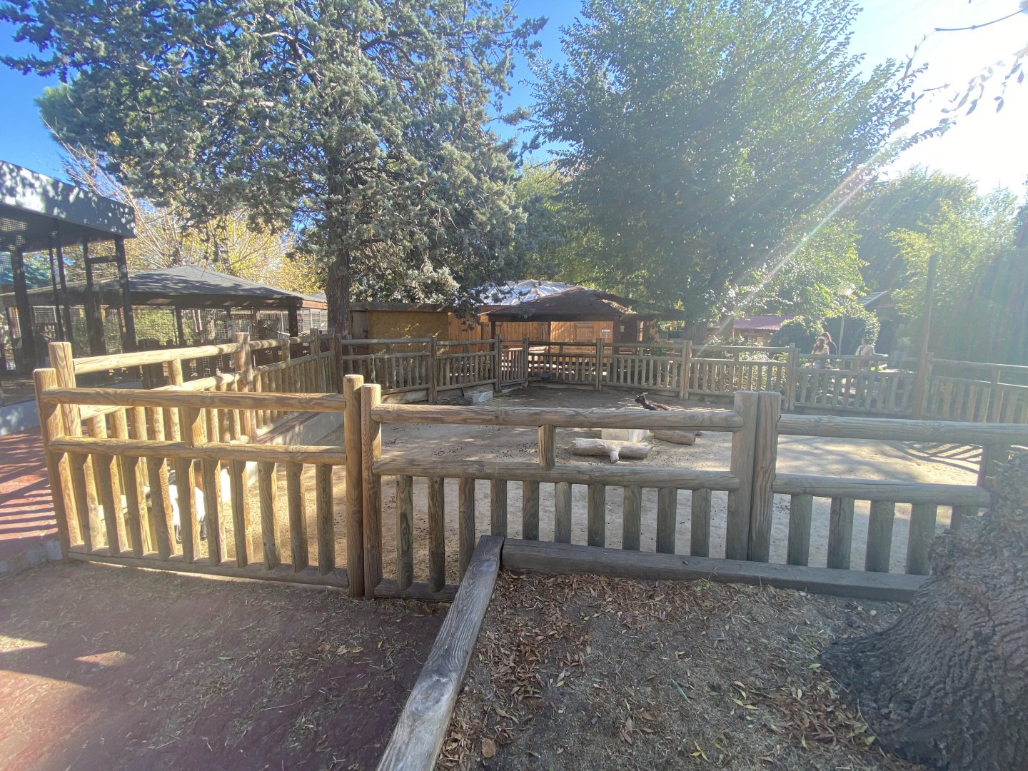 2nd view of Pygmy goat enclosure