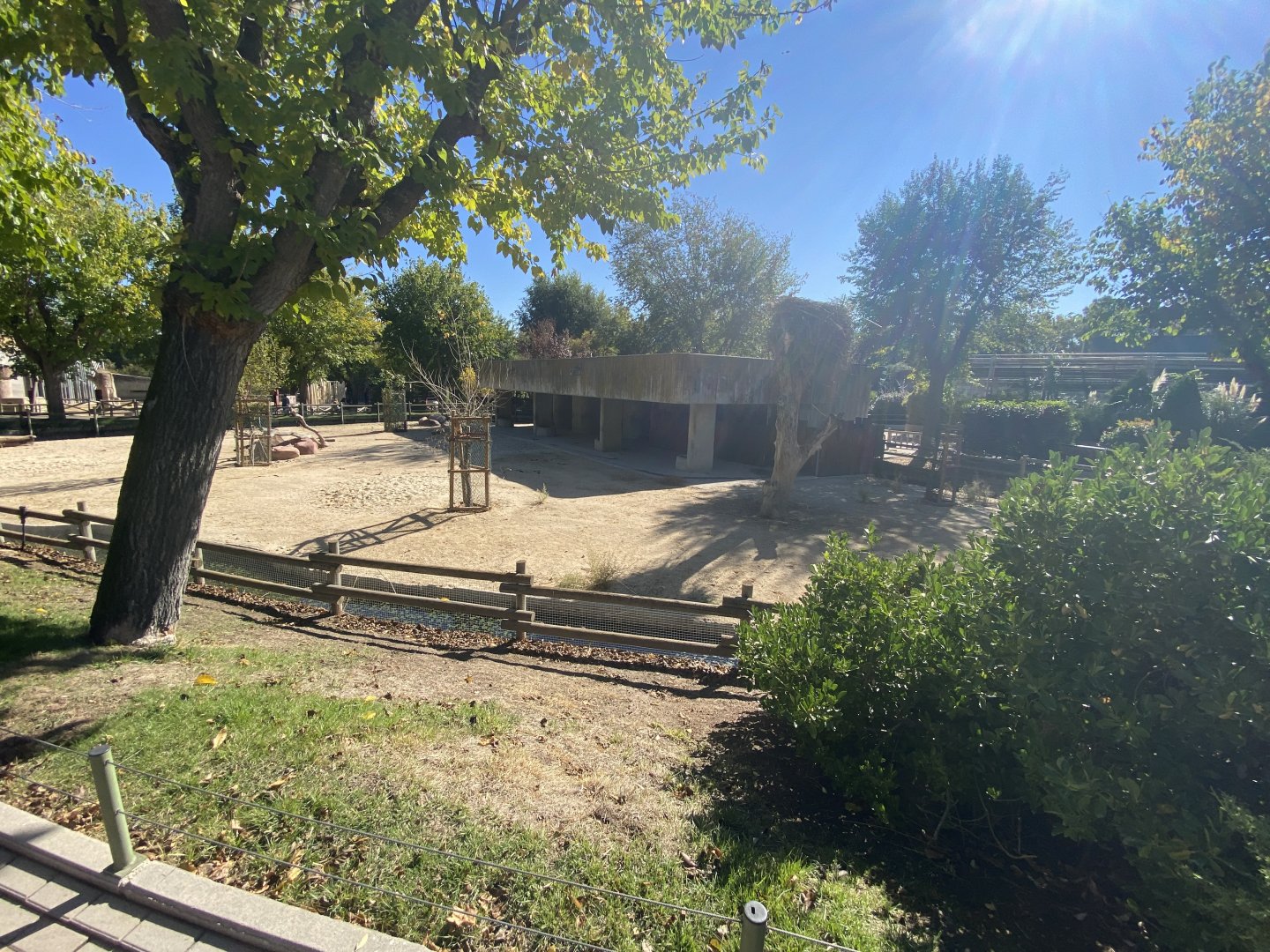 2nd view of Vicuña enclosure