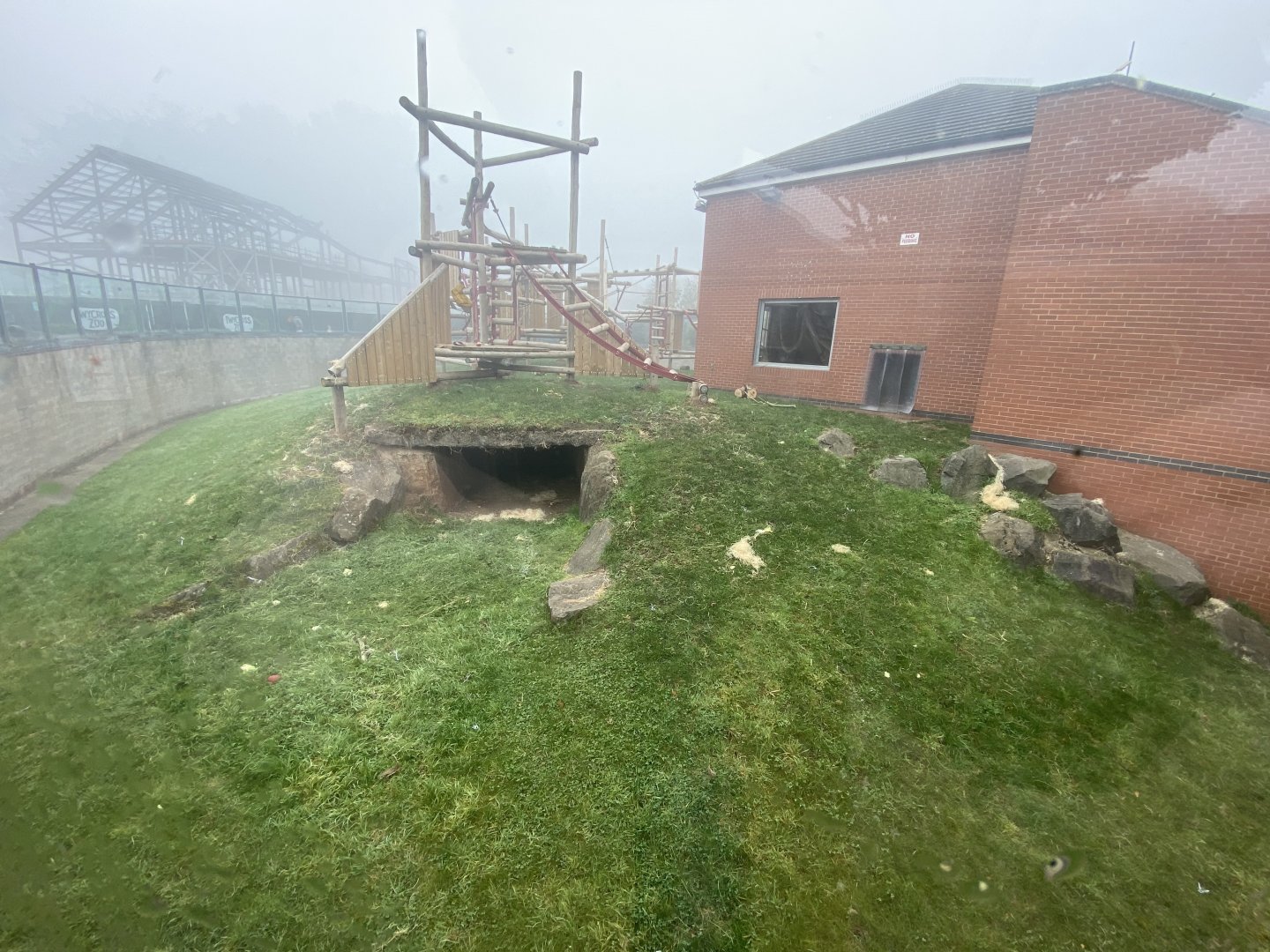 2nd view of Western Lowland gorilla enclosure