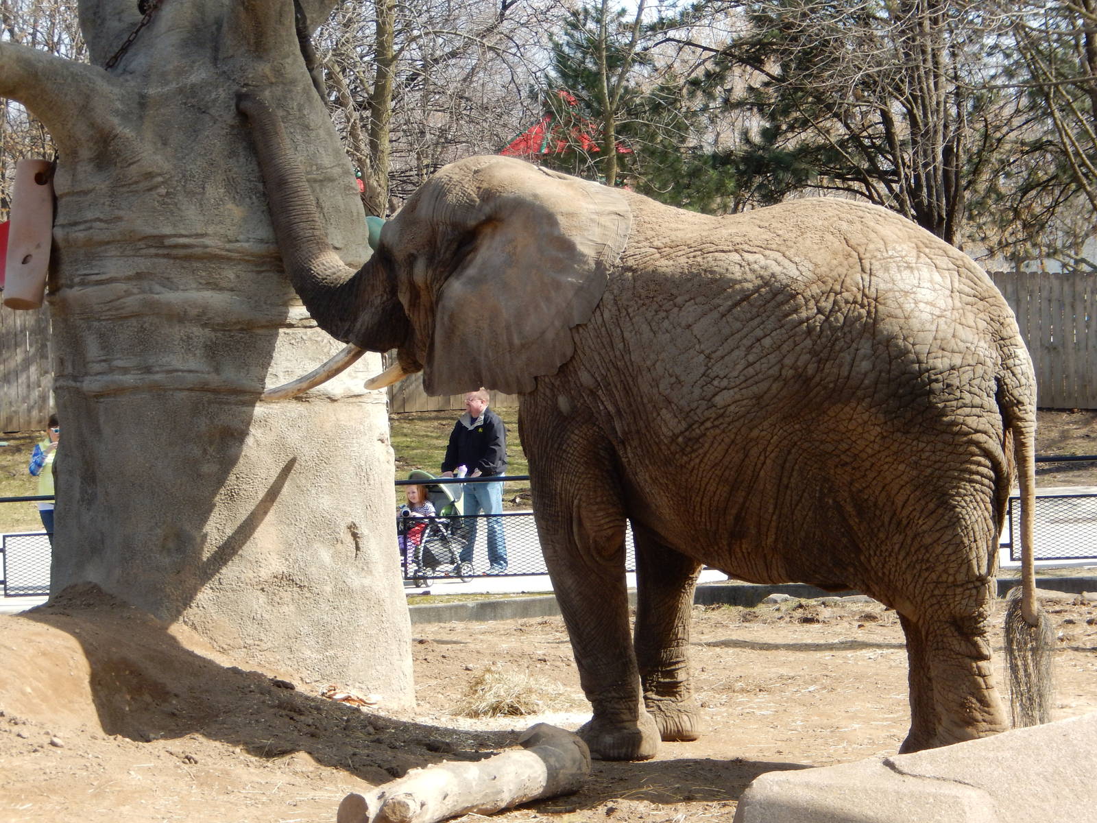 3/11/2016 - Brittany