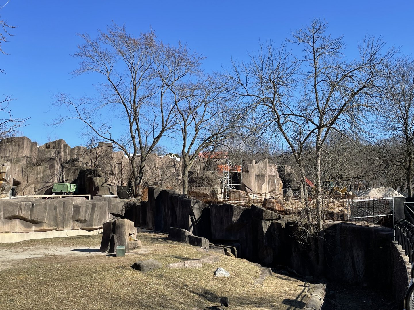 3/22/2025 - Adventure Africa: Phase 3 Construction