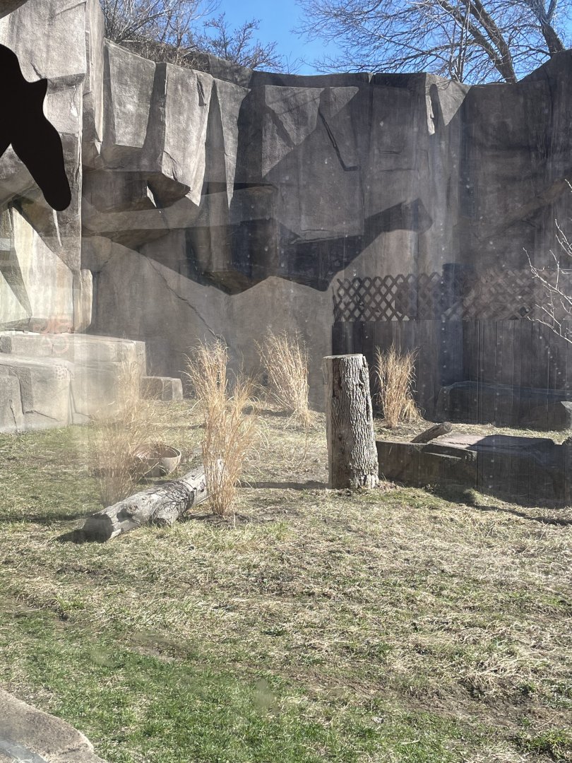 3/22/2025 - New Jaguar Plantings