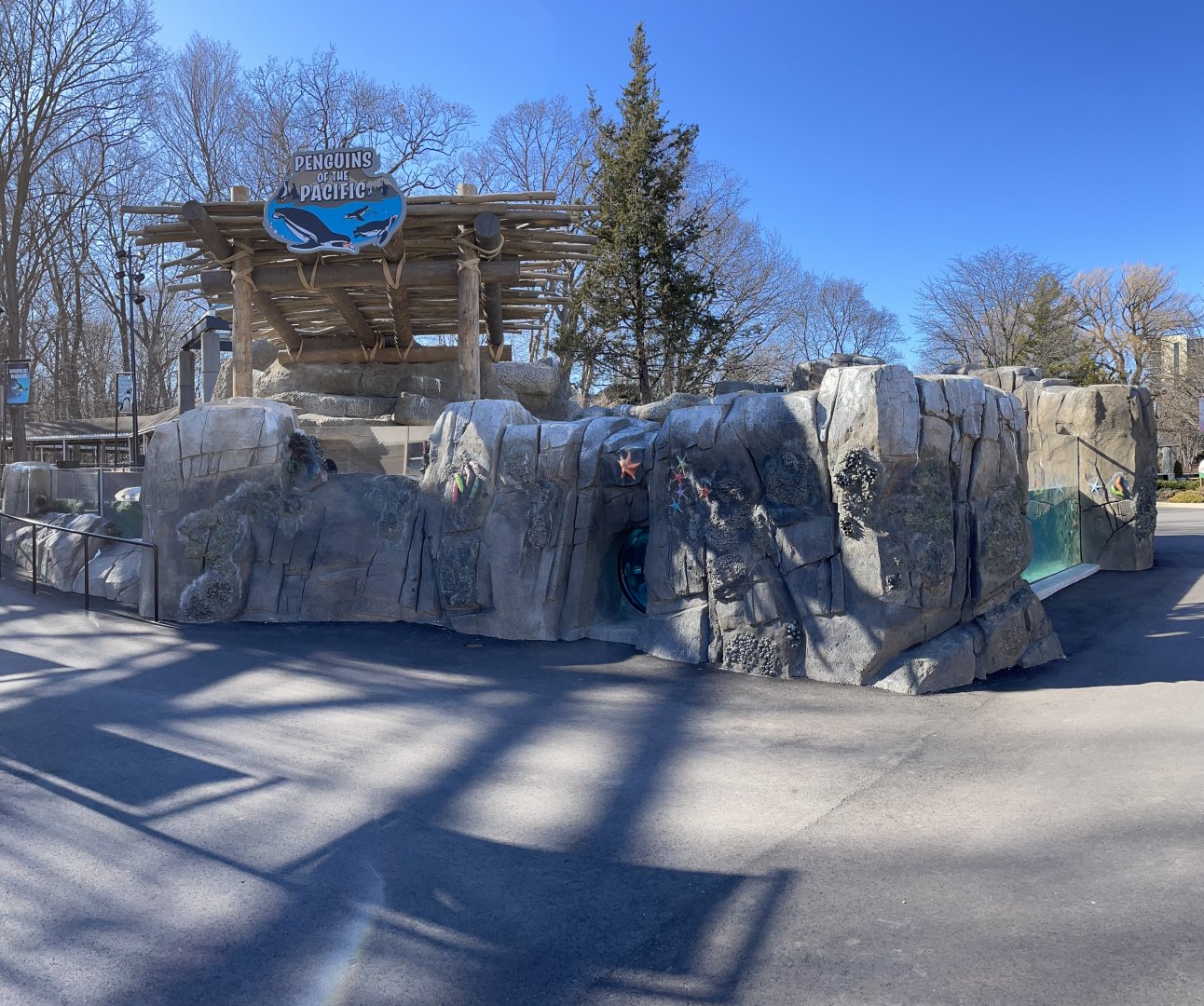 3/22/2025 - Penguins of the Pacific