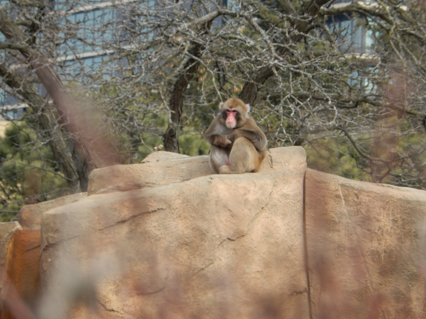 3/4/2023 - A Rocky Throne