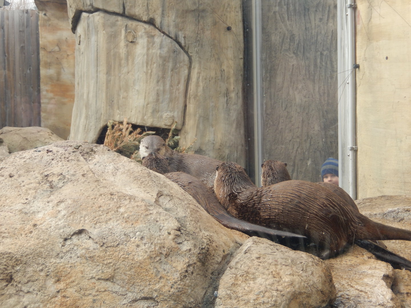 3/4/2023 - All Gathered on the Shore