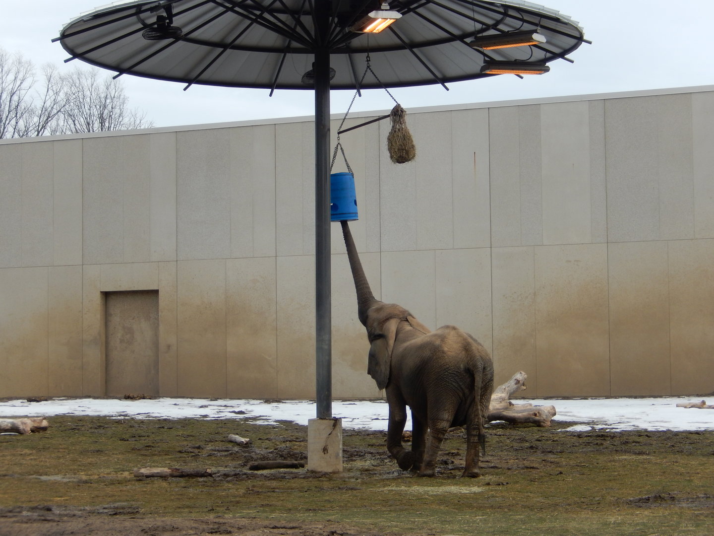 3/4/2023 - Now It's My Turn!