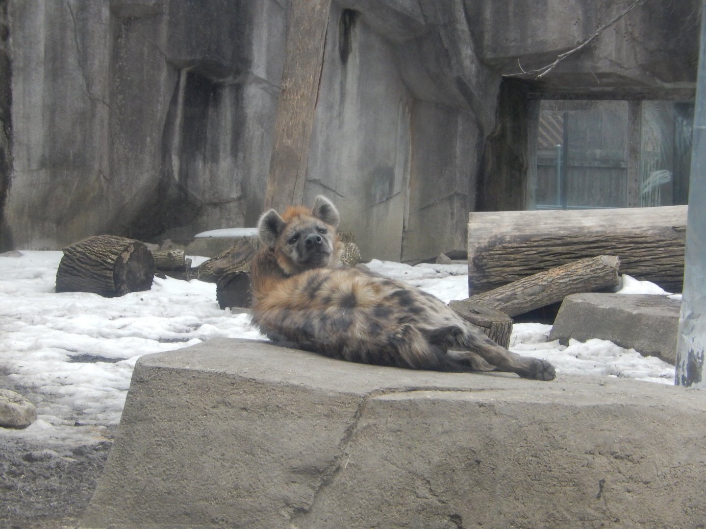 3/4/2023 - Nyota Sprawled Out