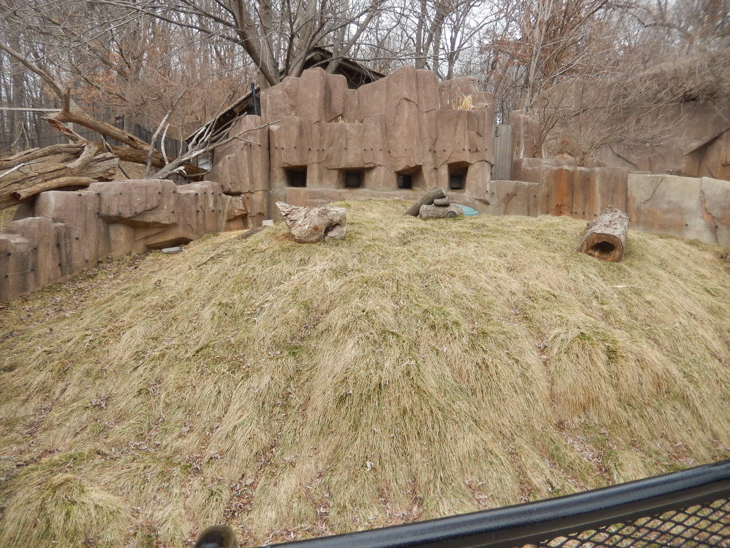 3/4/2023 - Prairie Dog Exhibit