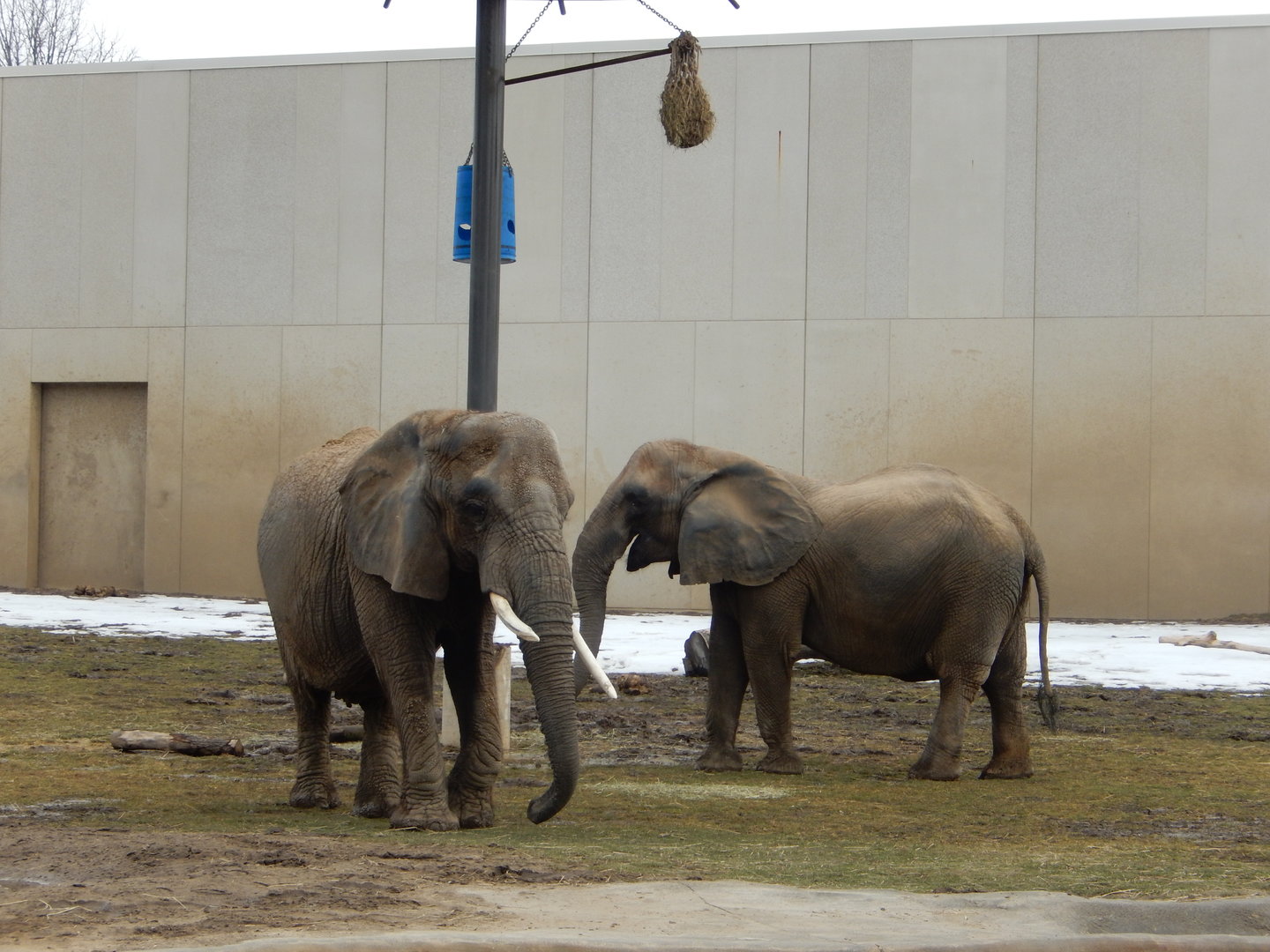 3/4/2023 - Ruth and Belle