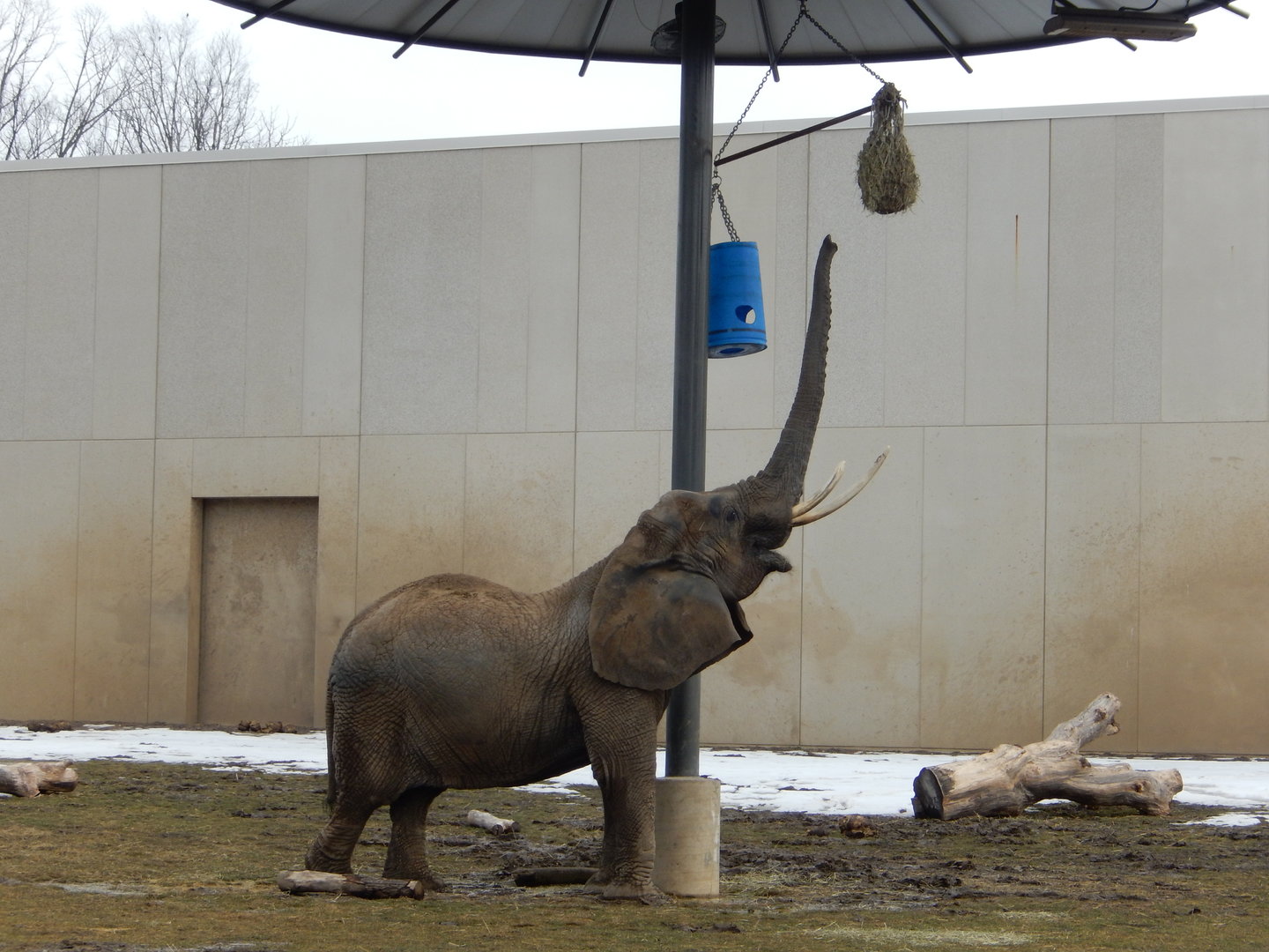 3/4/2023 - Ruth's Big Stretch