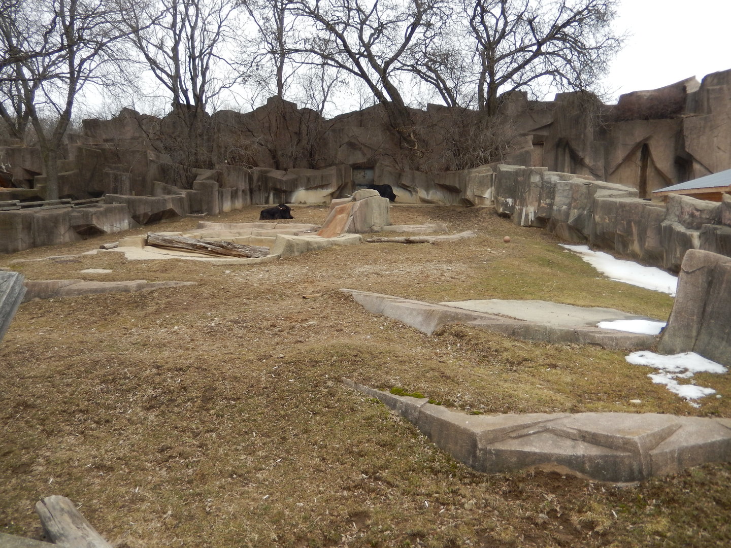 3/4/2023 - Yak Exhibit (1 of 2)