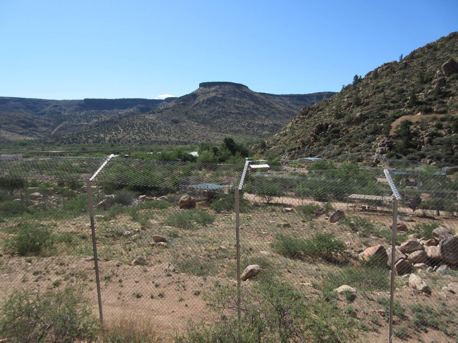 3.5 Acre Bengal Tiger Exhibit (home to 5 tigers)
