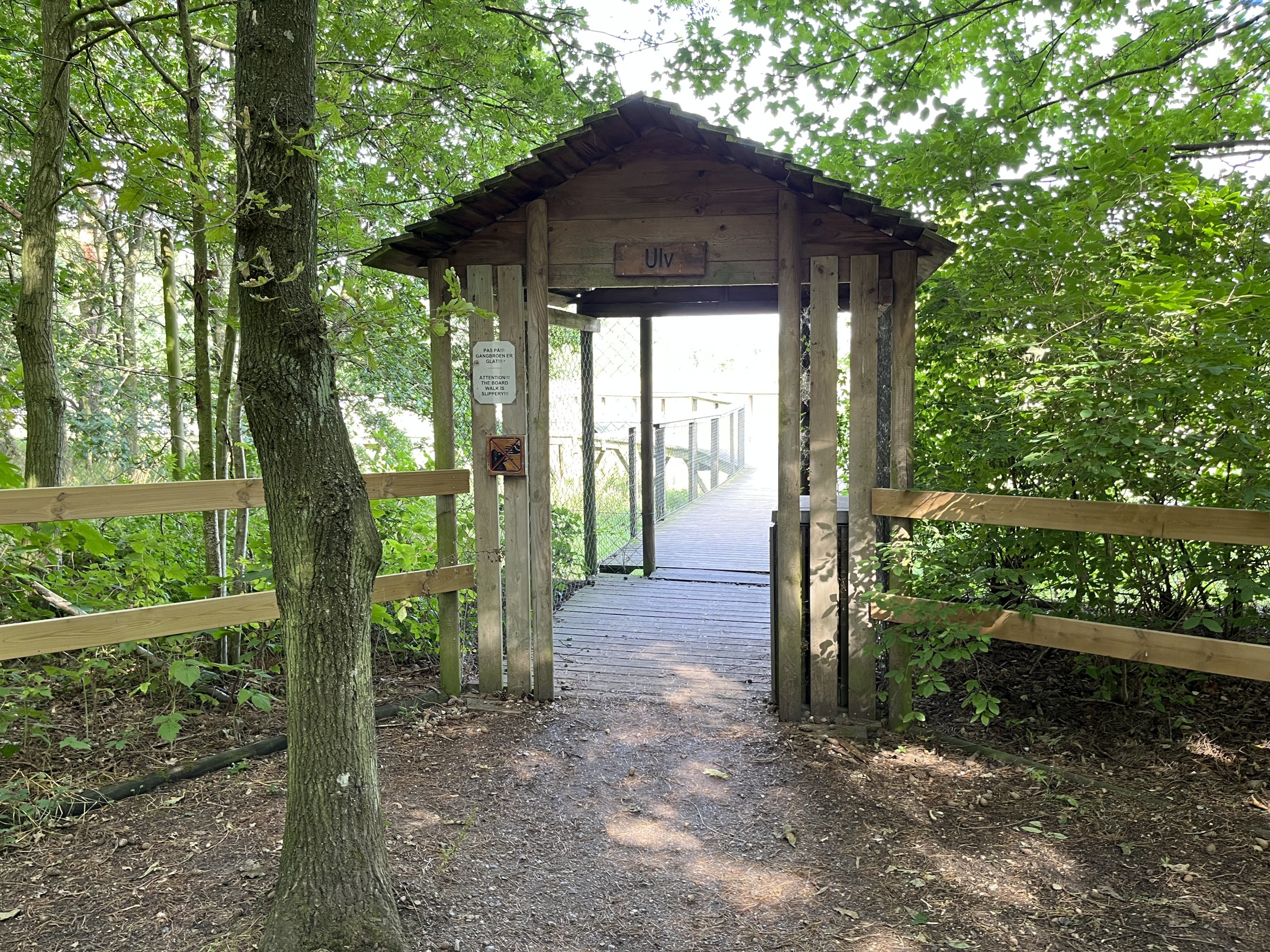 3.7 Acre European Grey Wolf Exhibit