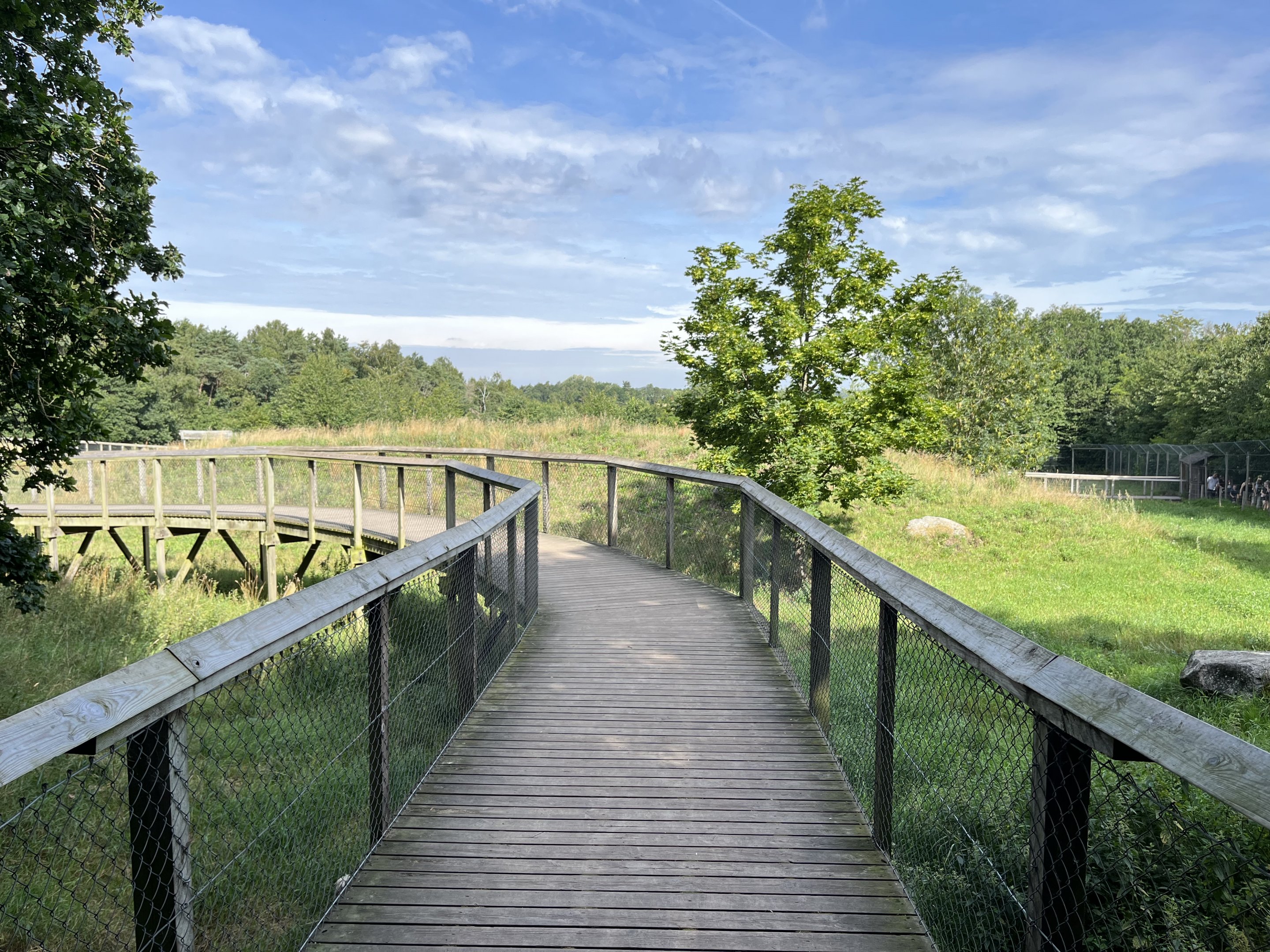 3.7 Acre European Grey Wolf Exhibit