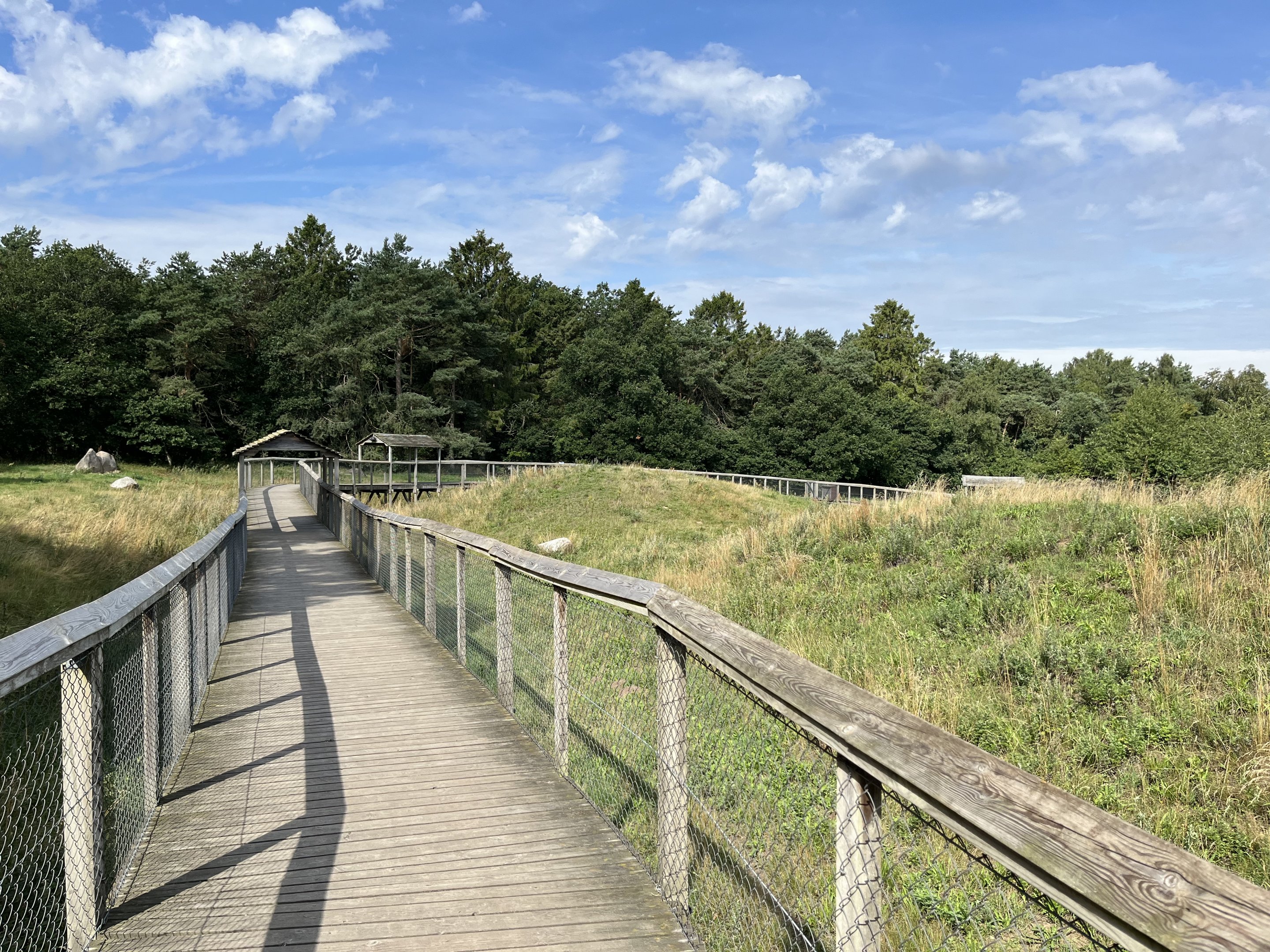 3.7 Acre European Grey Wolf Exhibit