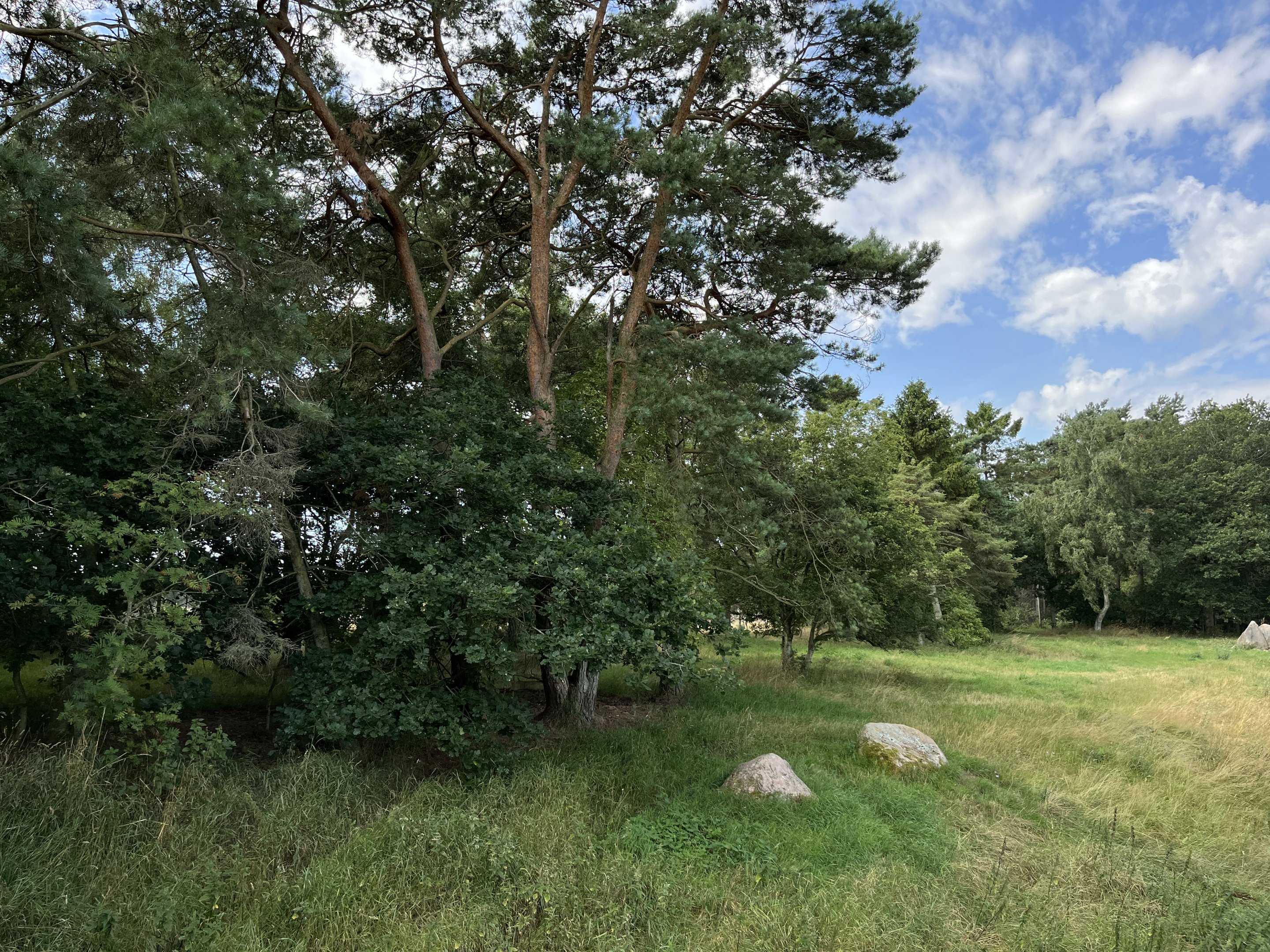 3.7 Acre European Grey Wolf Exhibit