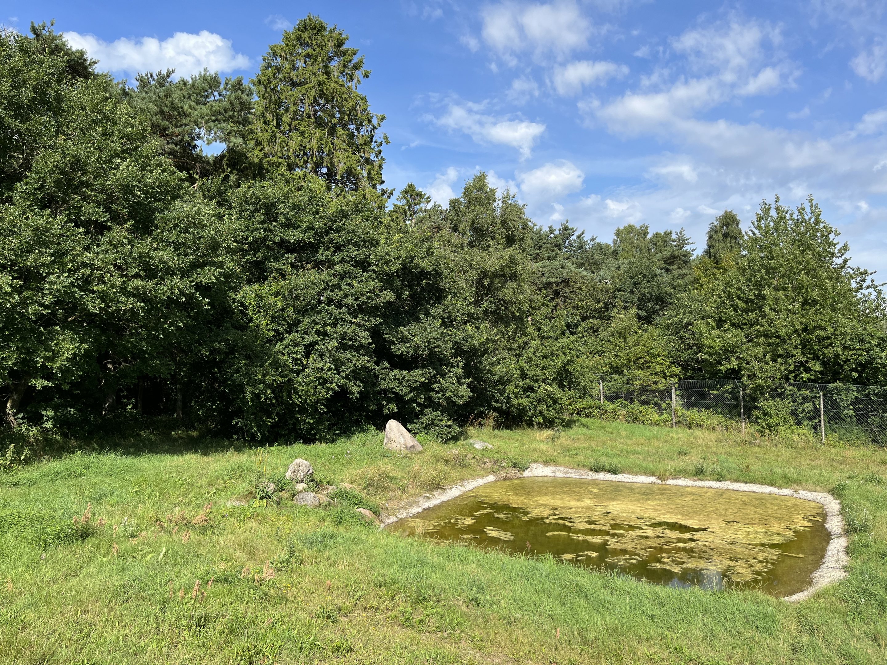 3.7 Acre European Grey Wolf Exhibit