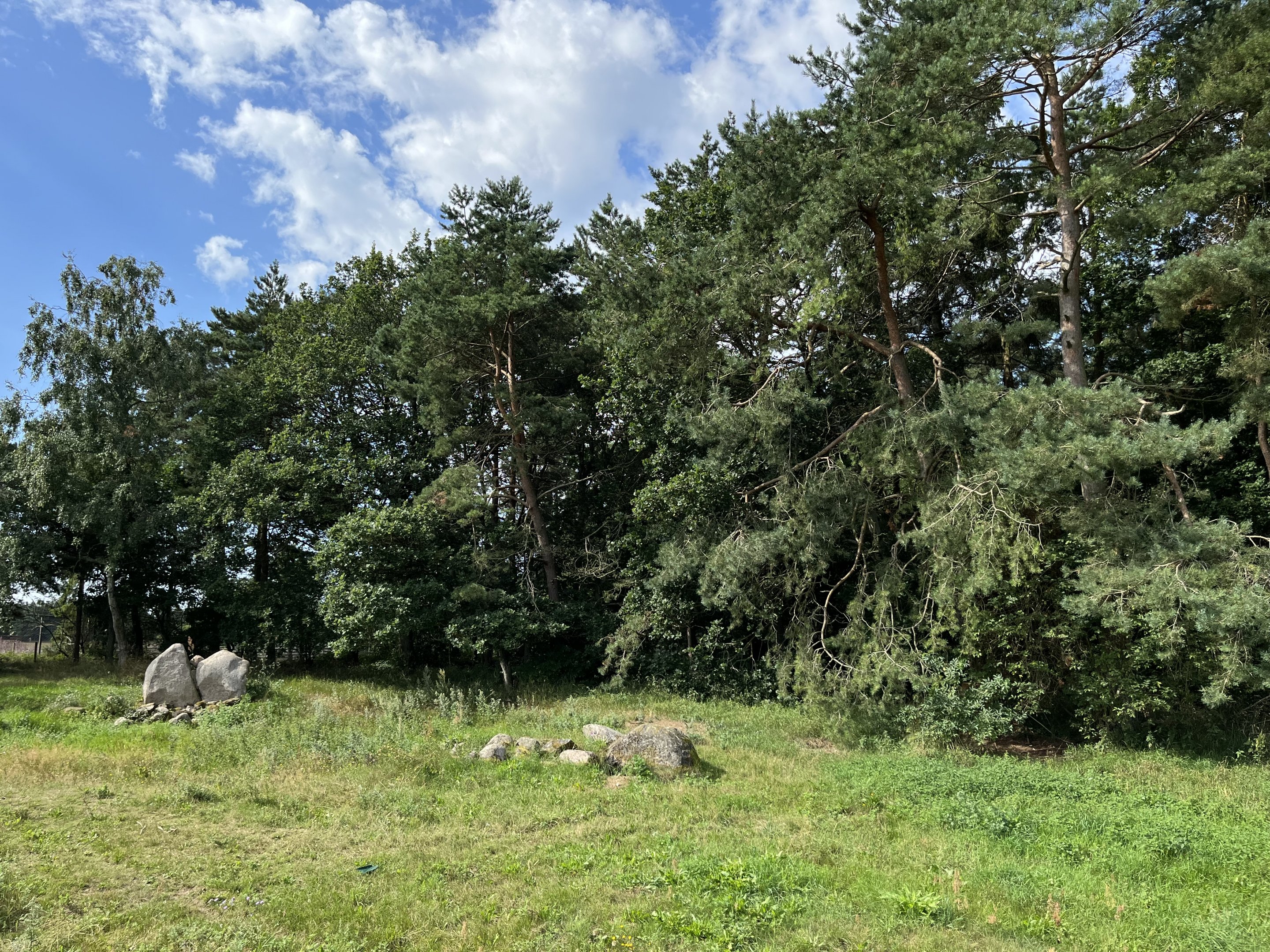 3.7 Acre European Grey Wolf Exhibit
