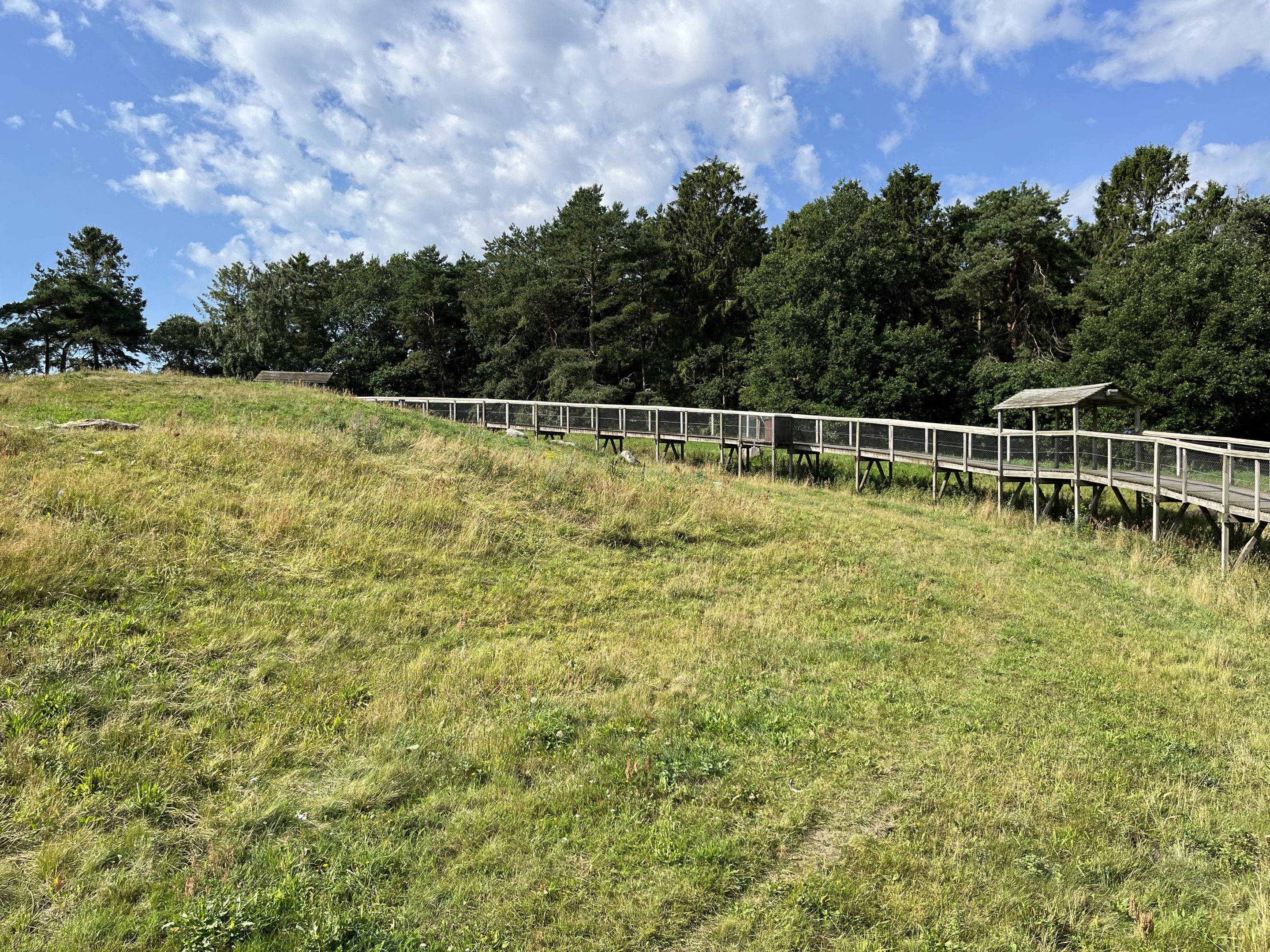 3.7 Acre European Grey Wolf Exhibit