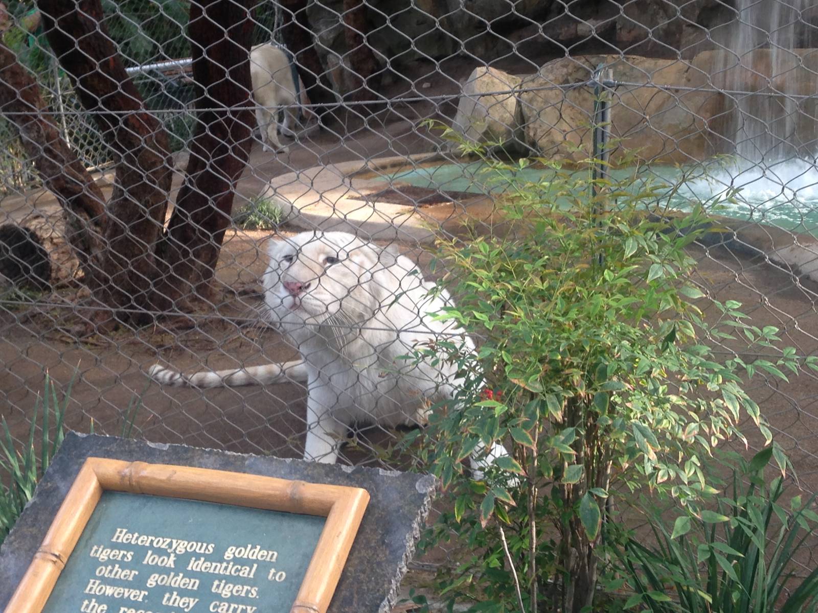 3/8/2016 - I Got My Eyes on You!