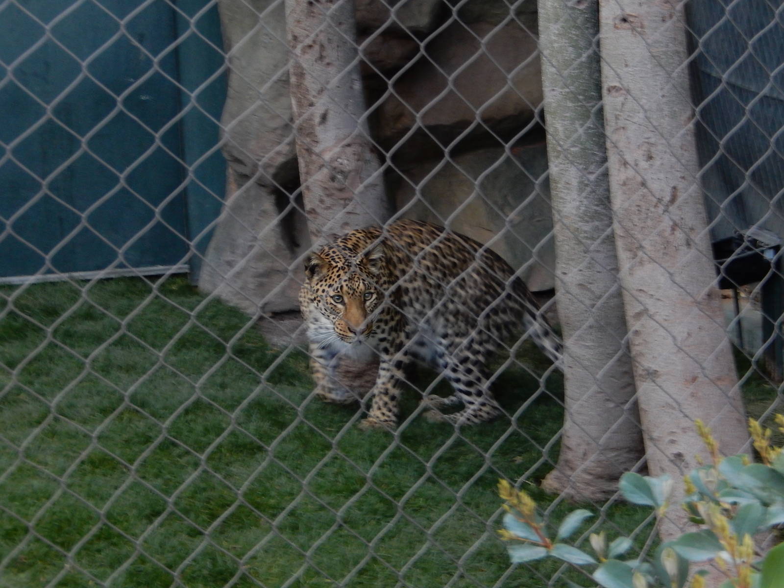 3/8/2016 - Something's Got My Attention