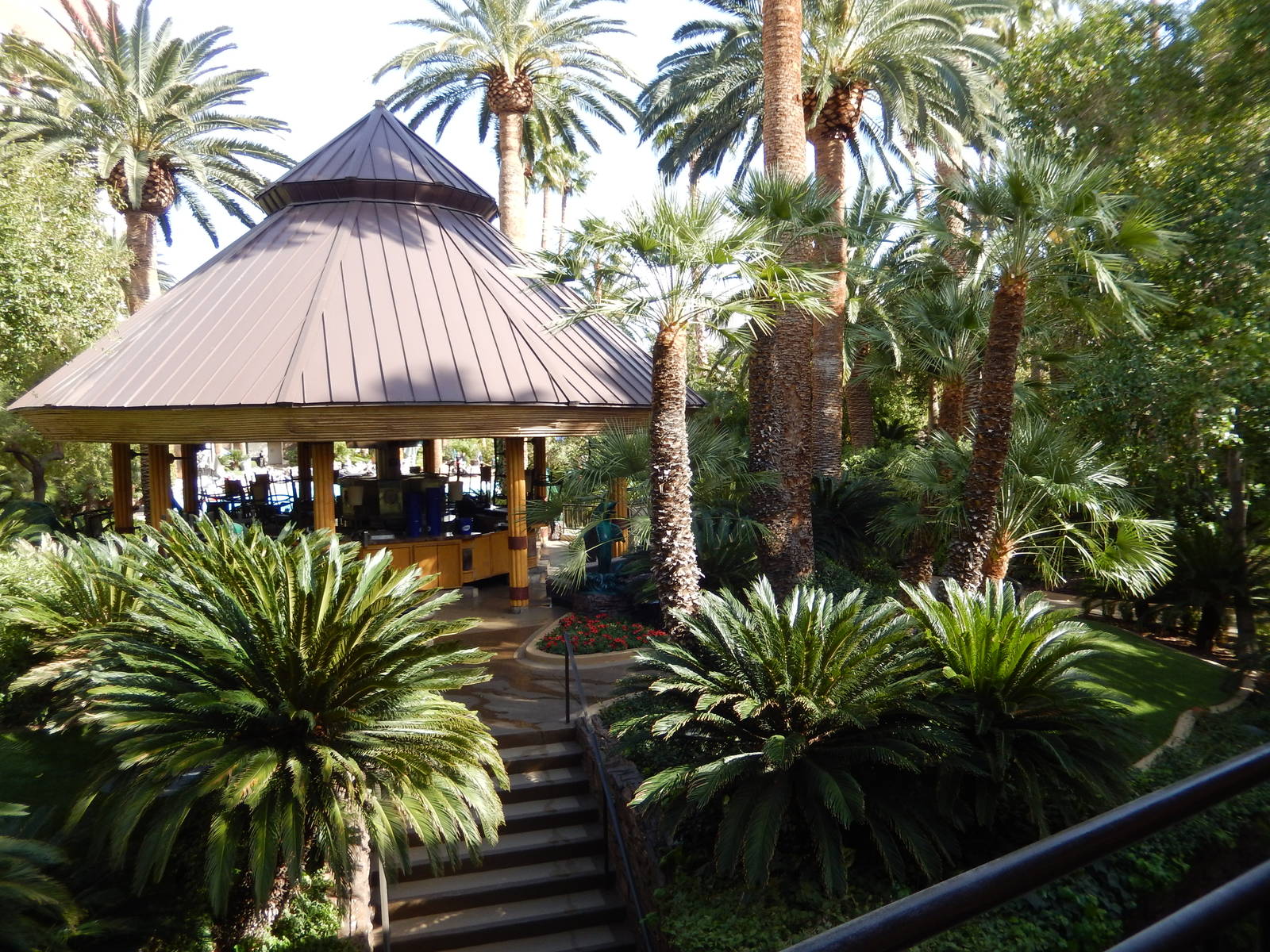 3/8/2016 - View Towards the Mirage Pool