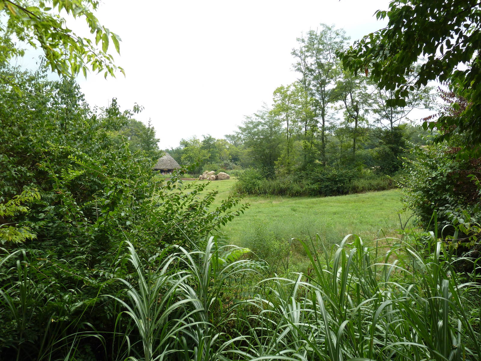 3-Acre African Elephant Exhibit