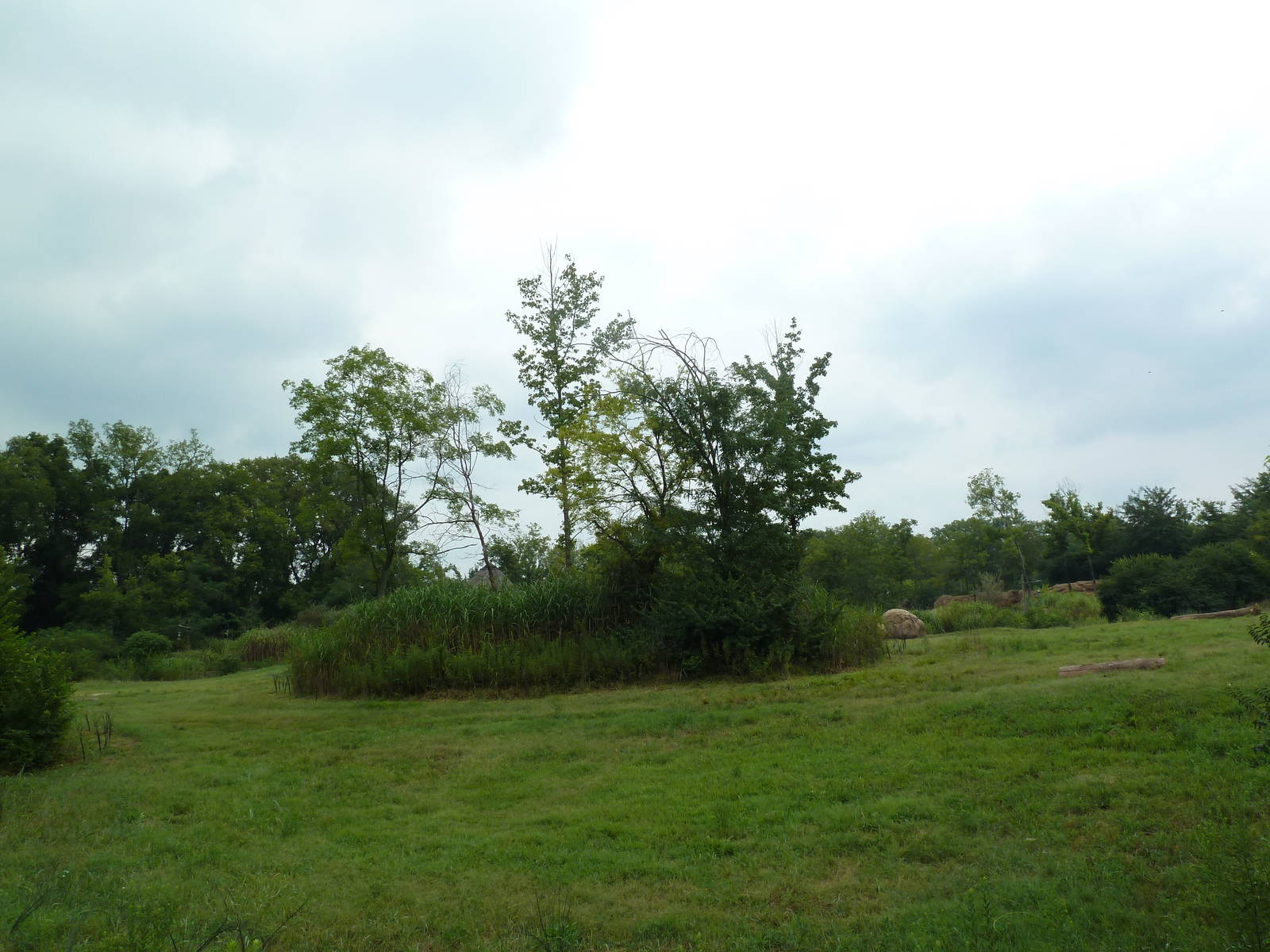 3-Acre African Elephant Exhibit