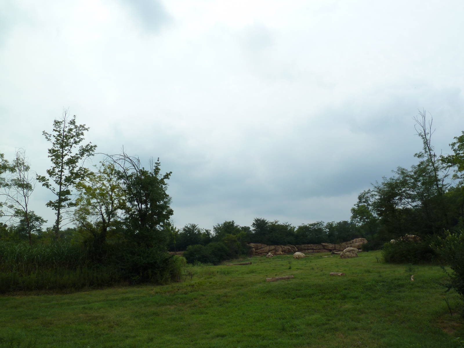 3-Acre African Elephant Exhibit