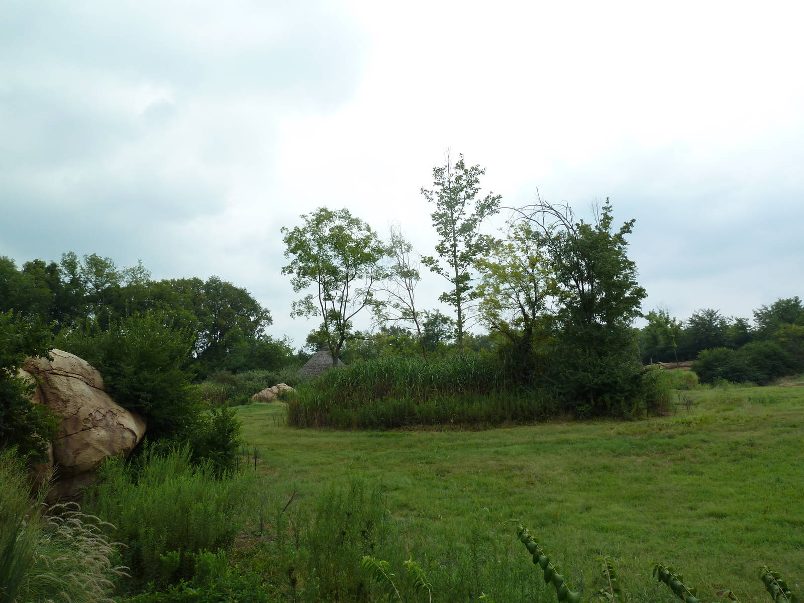 3-Acre African Elephant Exhibit