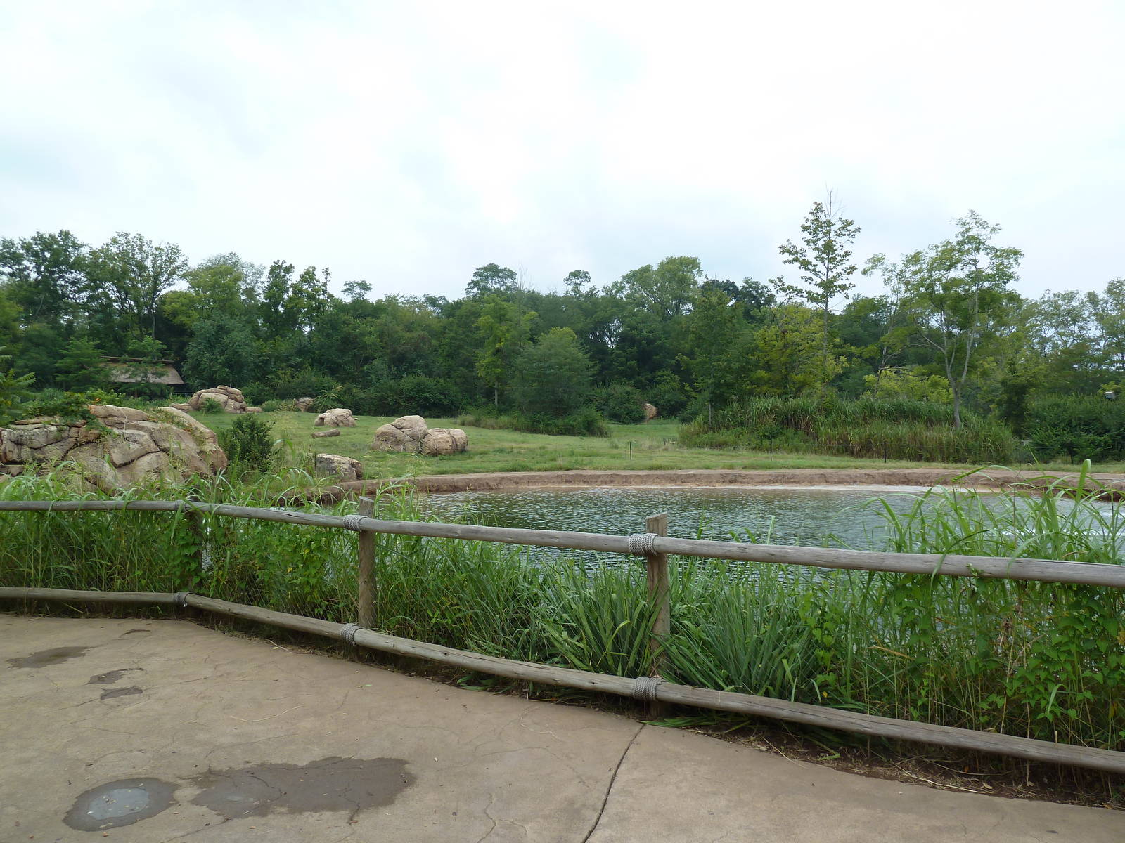 3-Acre African Elephant Exhibit