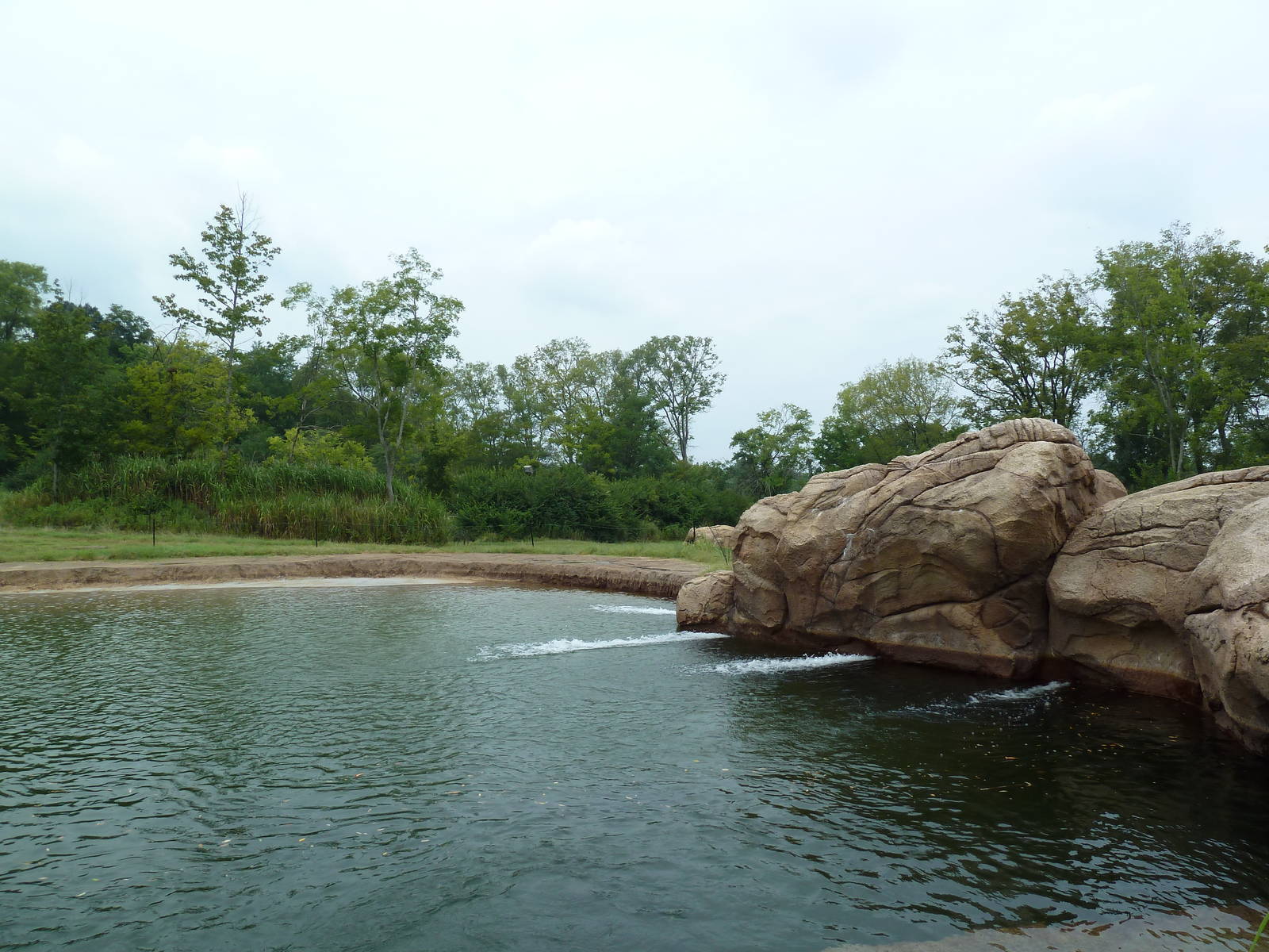 3-Acre African Elephant Exhibit