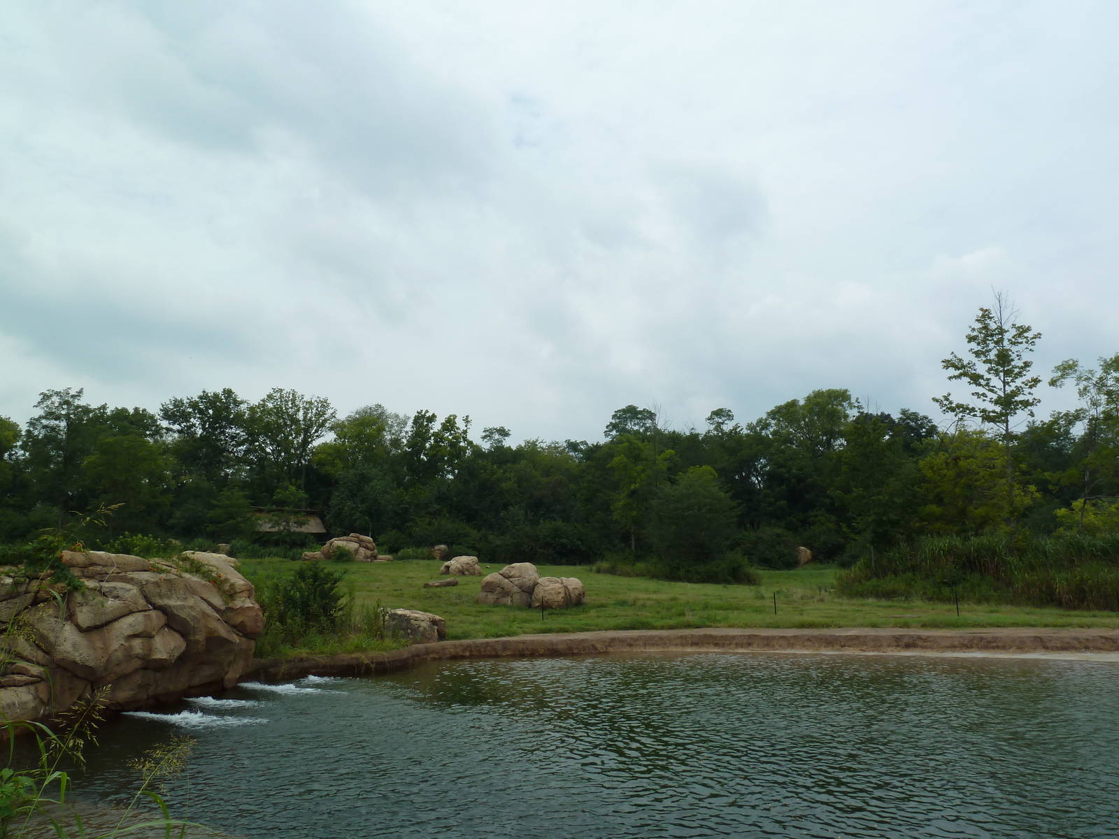 3-Acre African Elephant Exhibit
