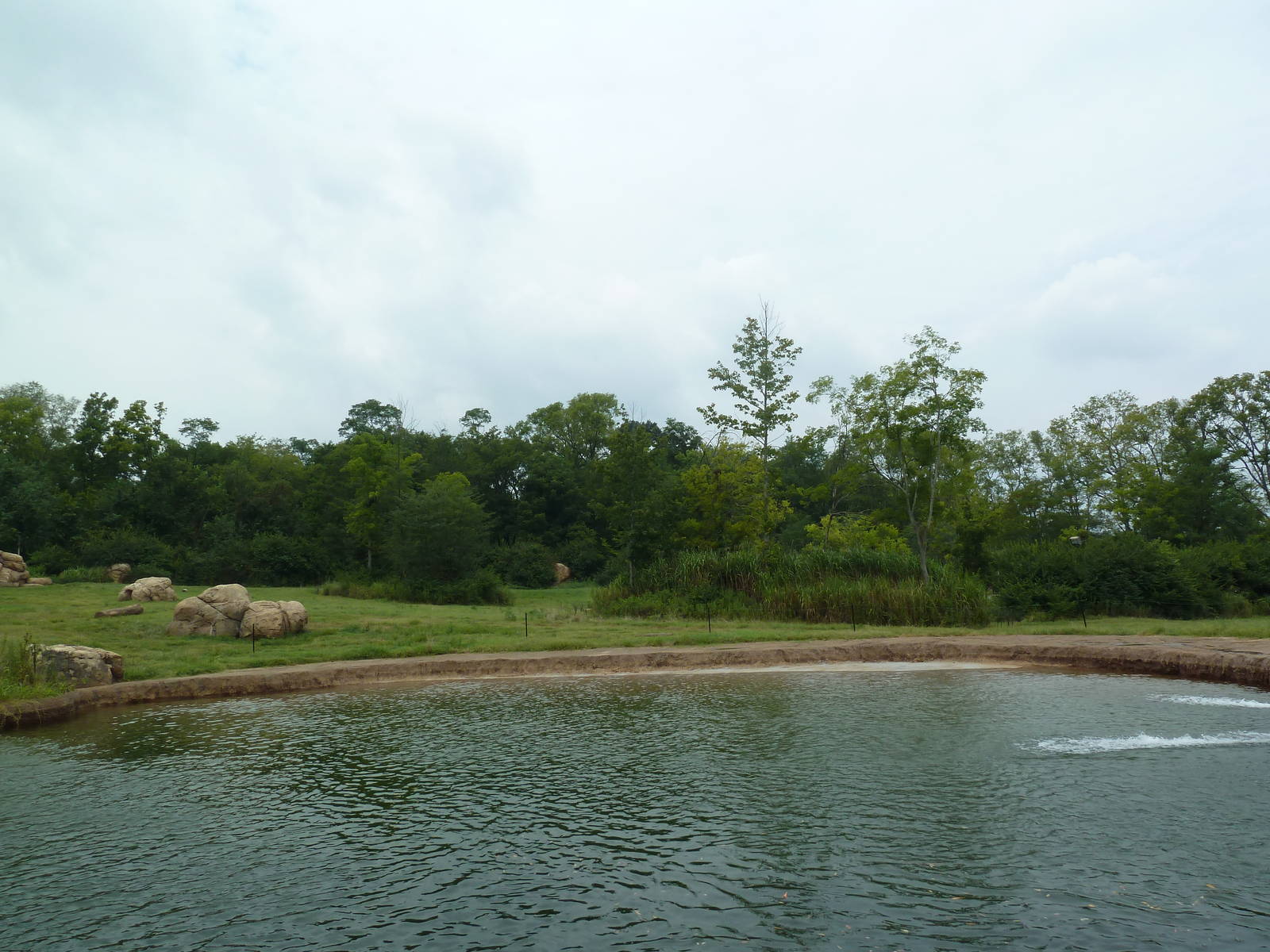 3-Acre African Elephant Exhibit