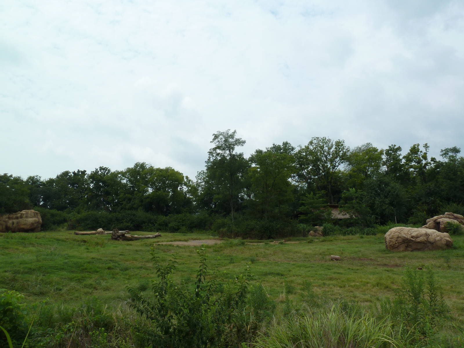 3-Acre African Elephant Exhibit